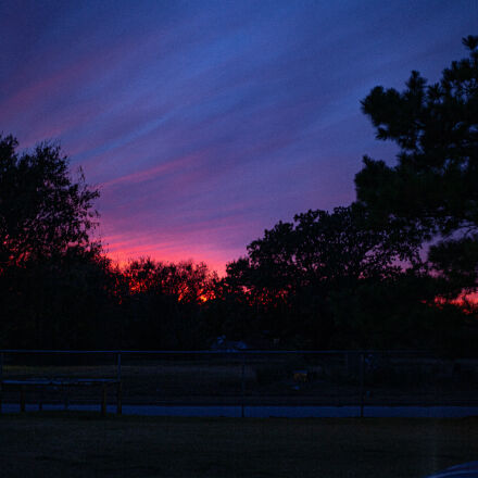 Canon EOS 5D Mark II + Canon EF 50mm F1.8 STM sample photos