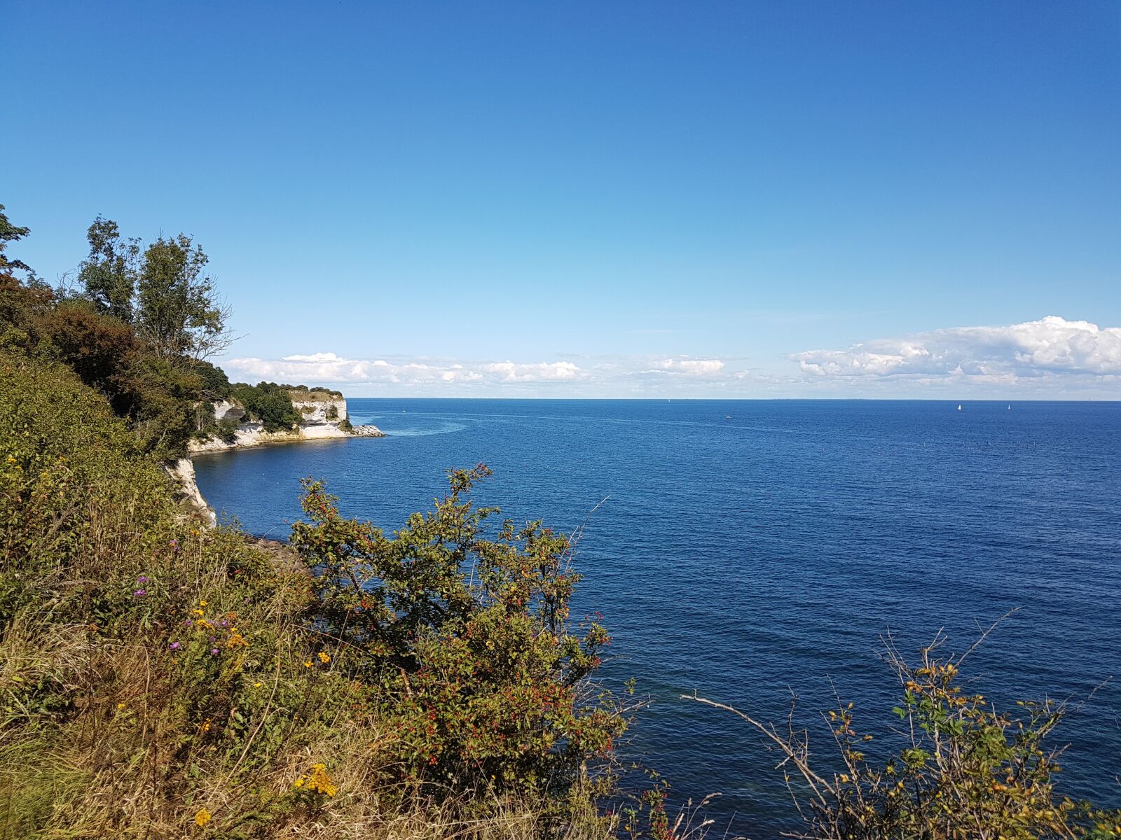 Samsung Galaxy S7 Edge sample photo. Denmark, nature, sea photography
