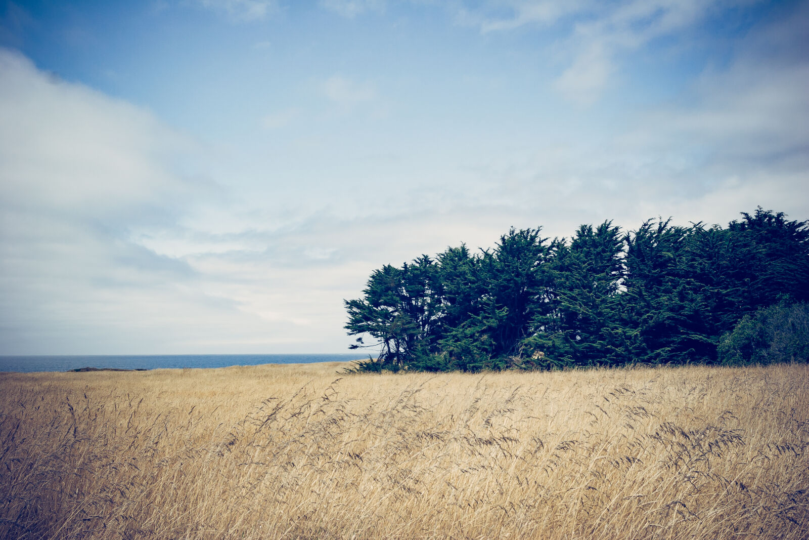 Canon EOS 20D sample photo. Clouds, cropland, dawn, environment photography