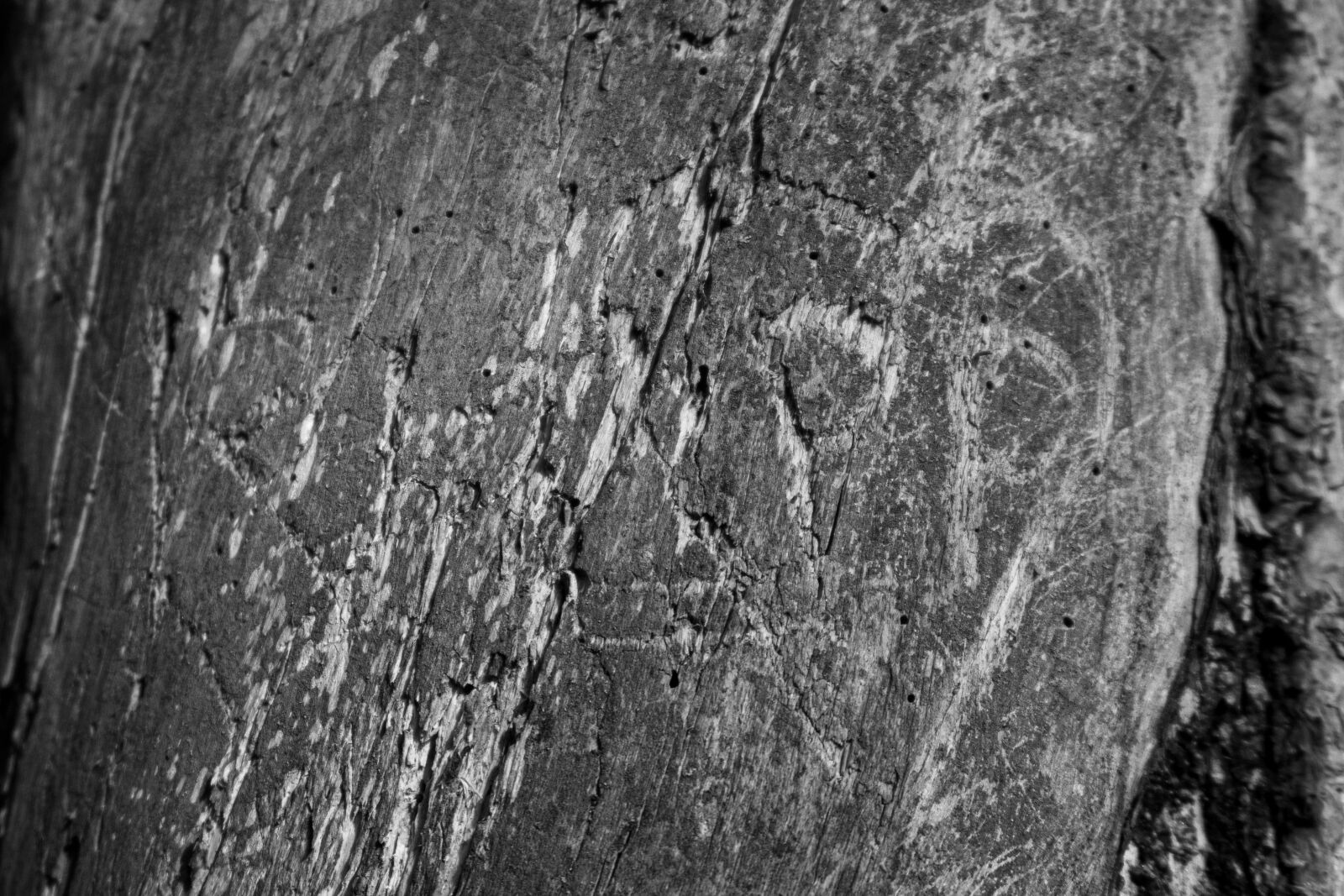 Canon PowerShot G7 X Mark II sample photo. Love, carving, wood carving photography