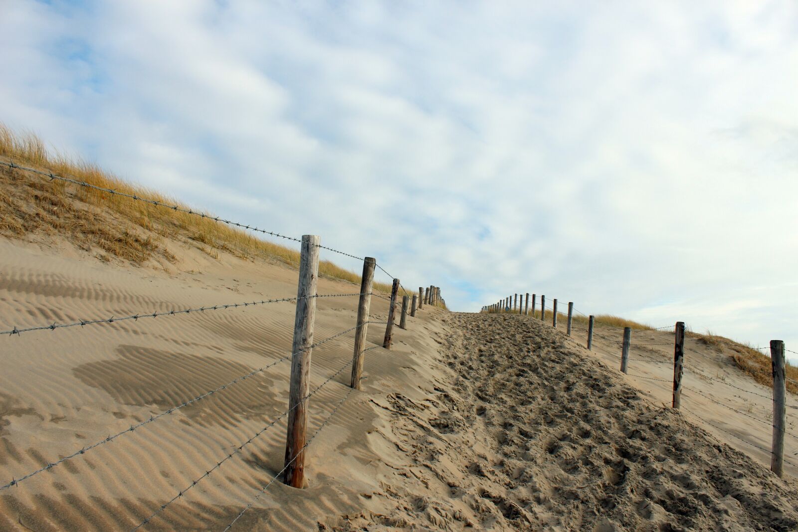 Canon EOS 650D (EOS Rebel T4i / EOS Kiss X6i) sample photo. Landscape, dune, north sea photography