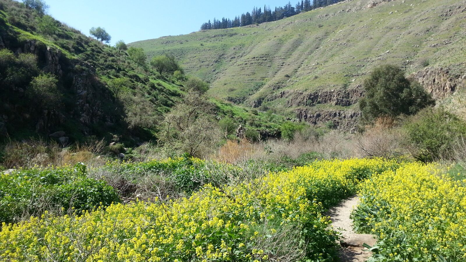 Samsung Galaxy S3 sample photo. Israel, nice, view photography