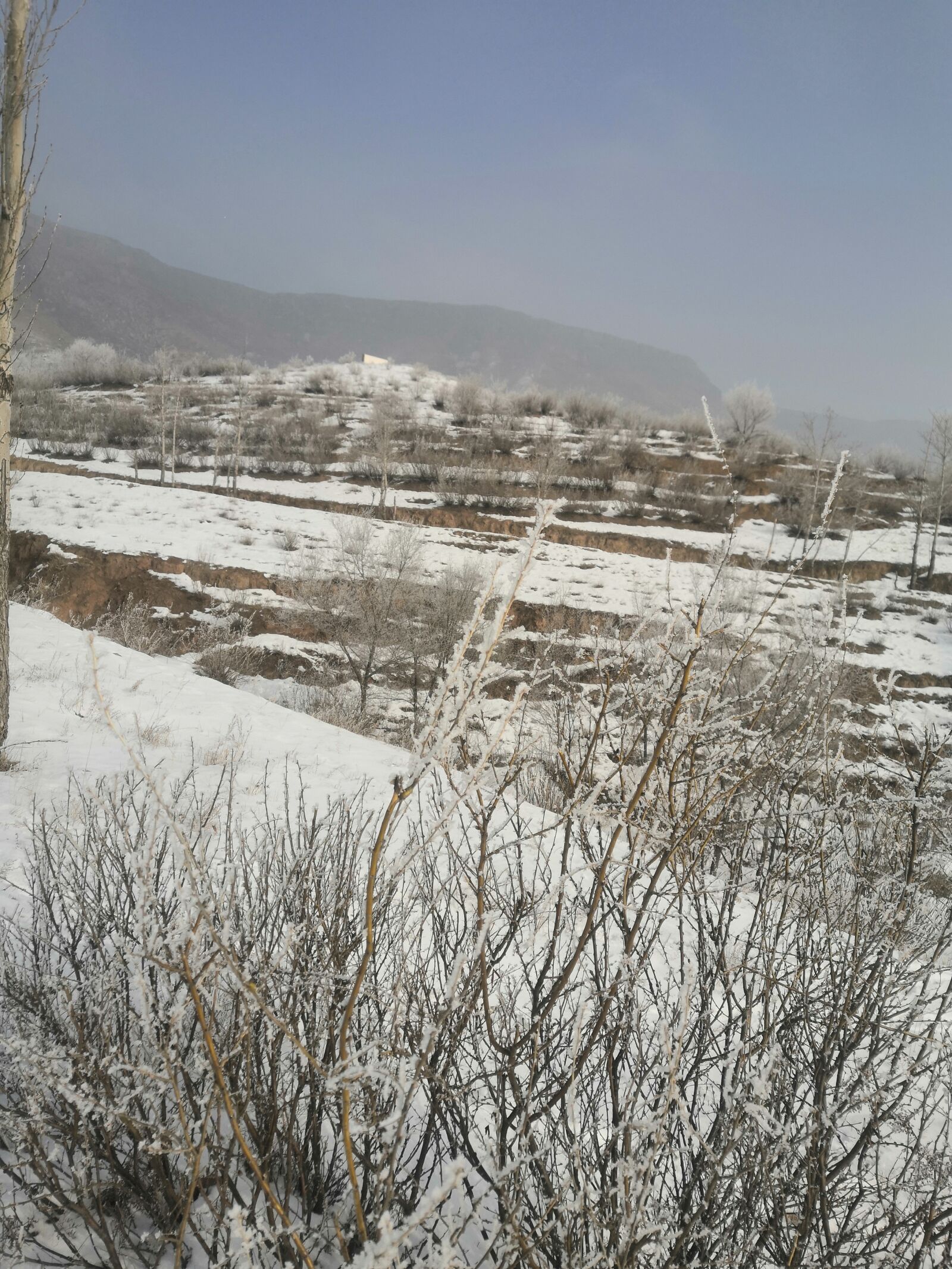 HUAWEI Honor V10 sample photo. The scenery, snow mountain photography