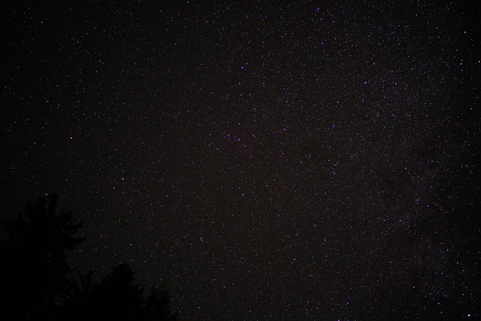 Sony Sonnar T* FE 55mm F1.8 ZA sample photo. Starry sky, night sky photography