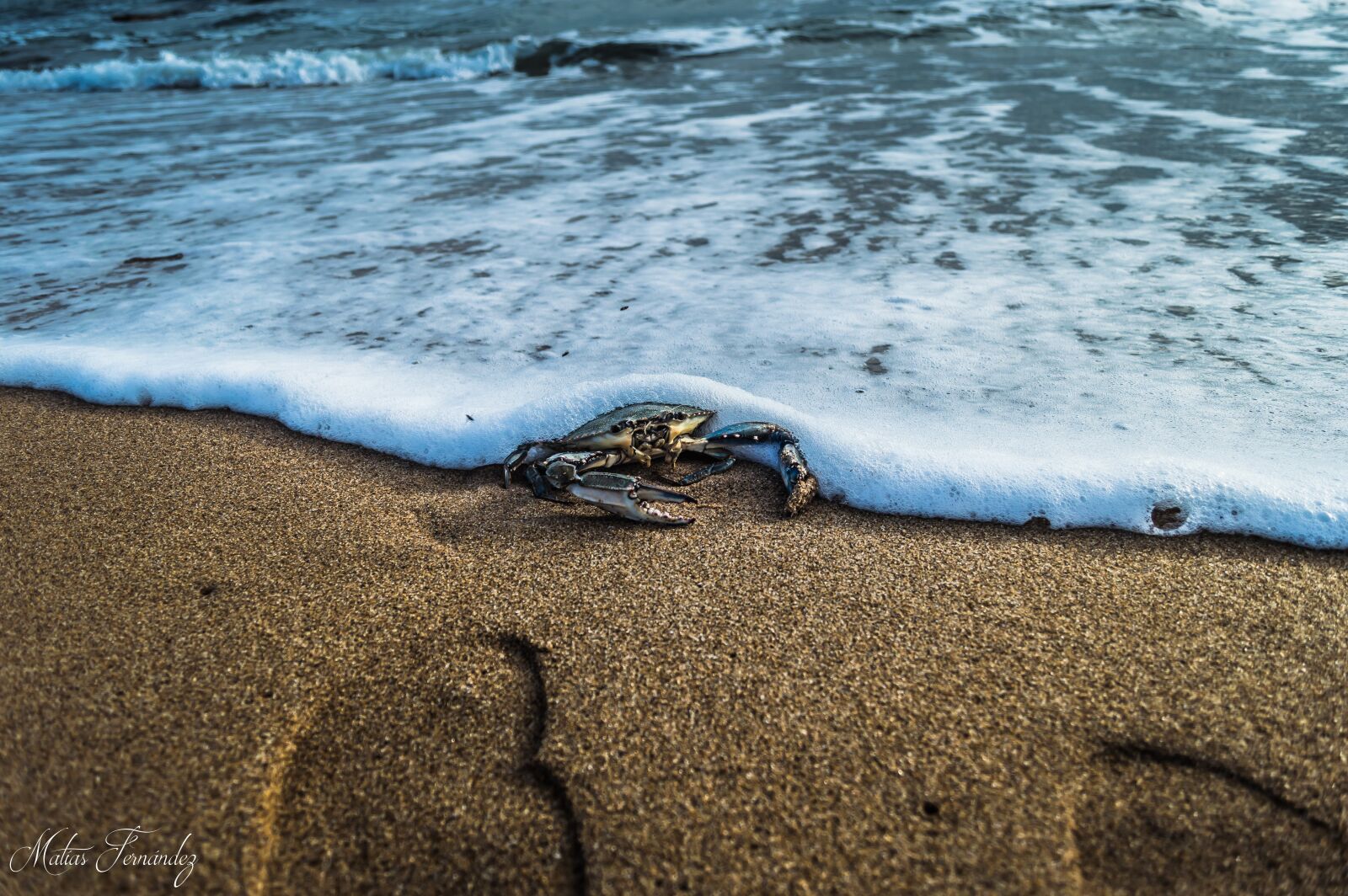 Nikon D3200 sample photo. Beach, ocean, sea photography