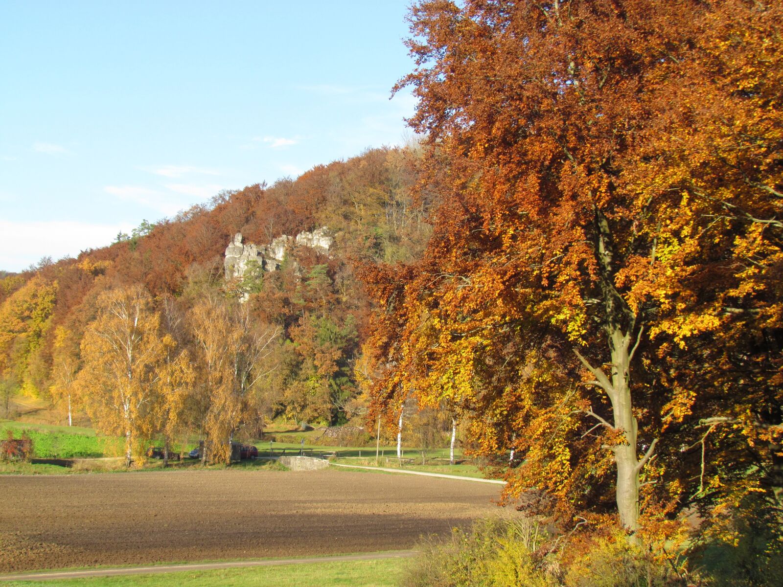Canon PowerShot SX30 IS sample photo. Sunny, autumn, forest photography