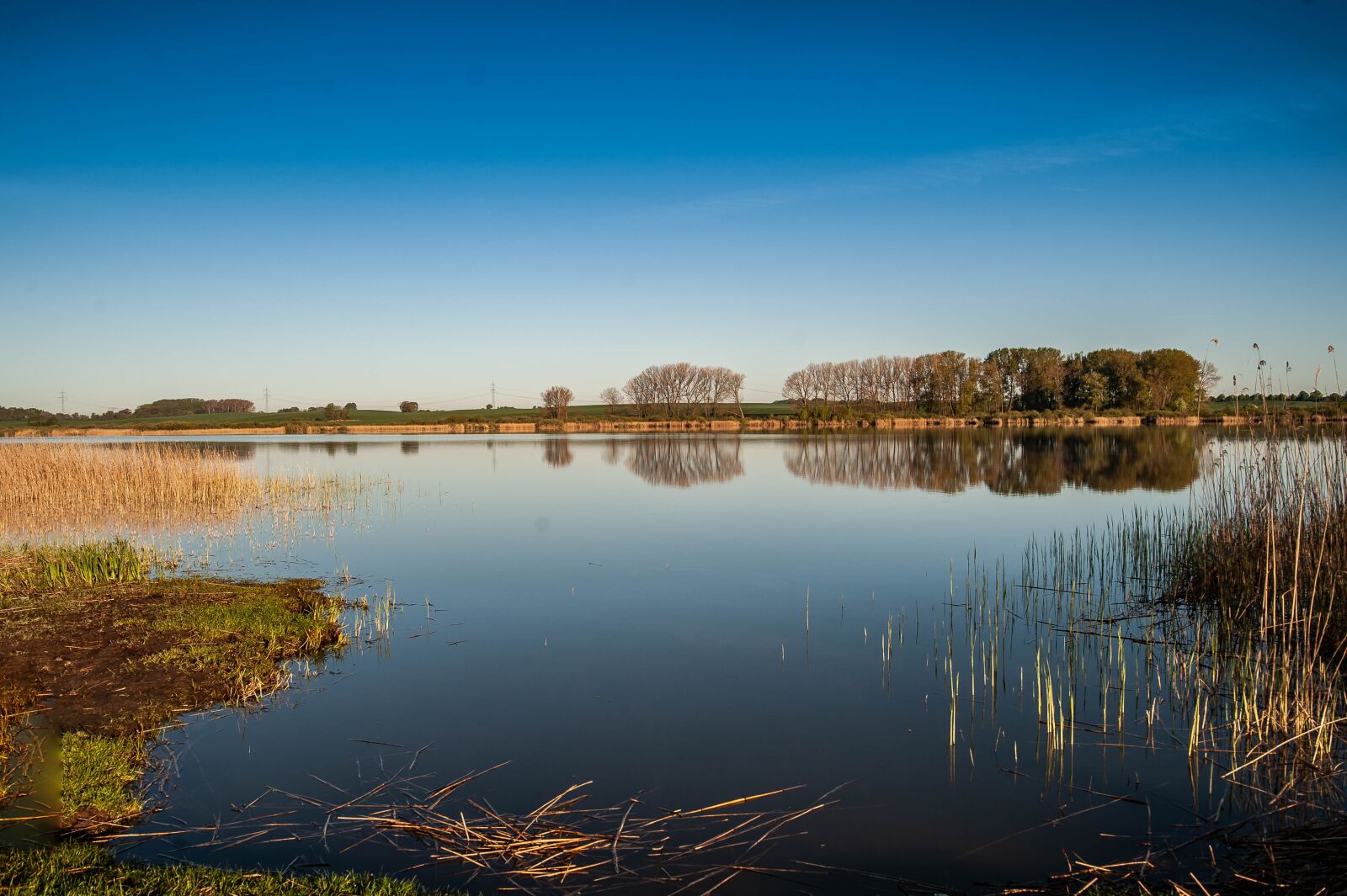 Nikon D700 sample photo. Lake, blue, sky photography