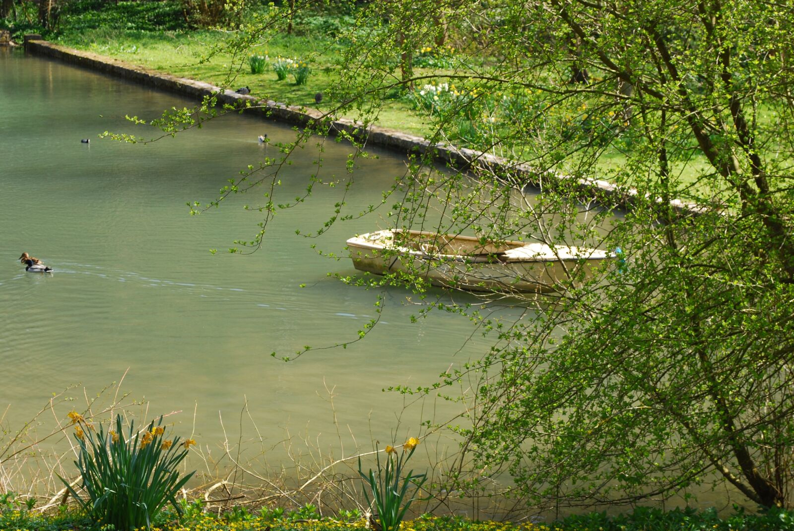 Nikon D60 sample photo. Boat, lake, pond photography