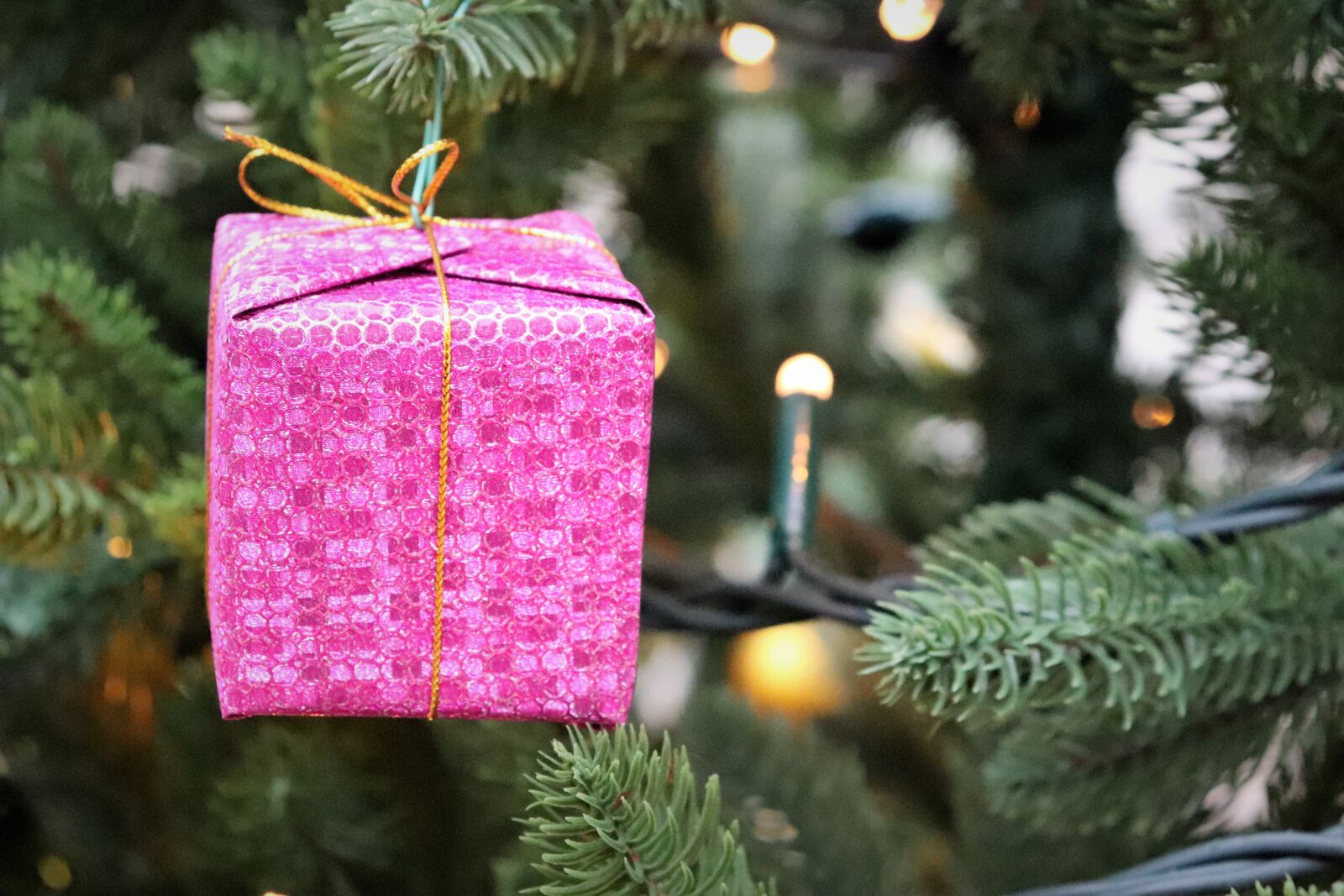 Canon EOS 200D (EOS Rebel SL2 / EOS Kiss X9) sample photo. Christmas tree, gift, lights photography