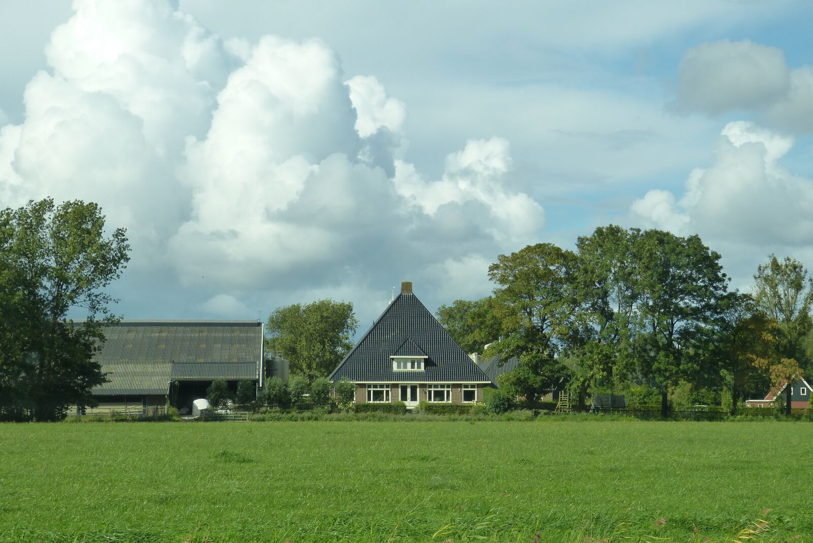 Panasonic Lumix DMC-FZ150 sample photo. Agriculture, travel, netherlands photography
