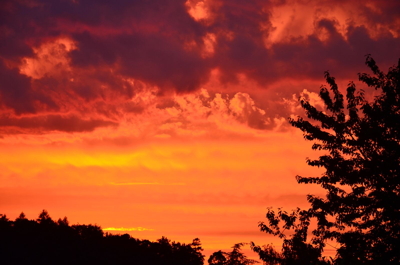 Nikon D5100 sample photo. Sunset, afterglow, abendstimmung photography