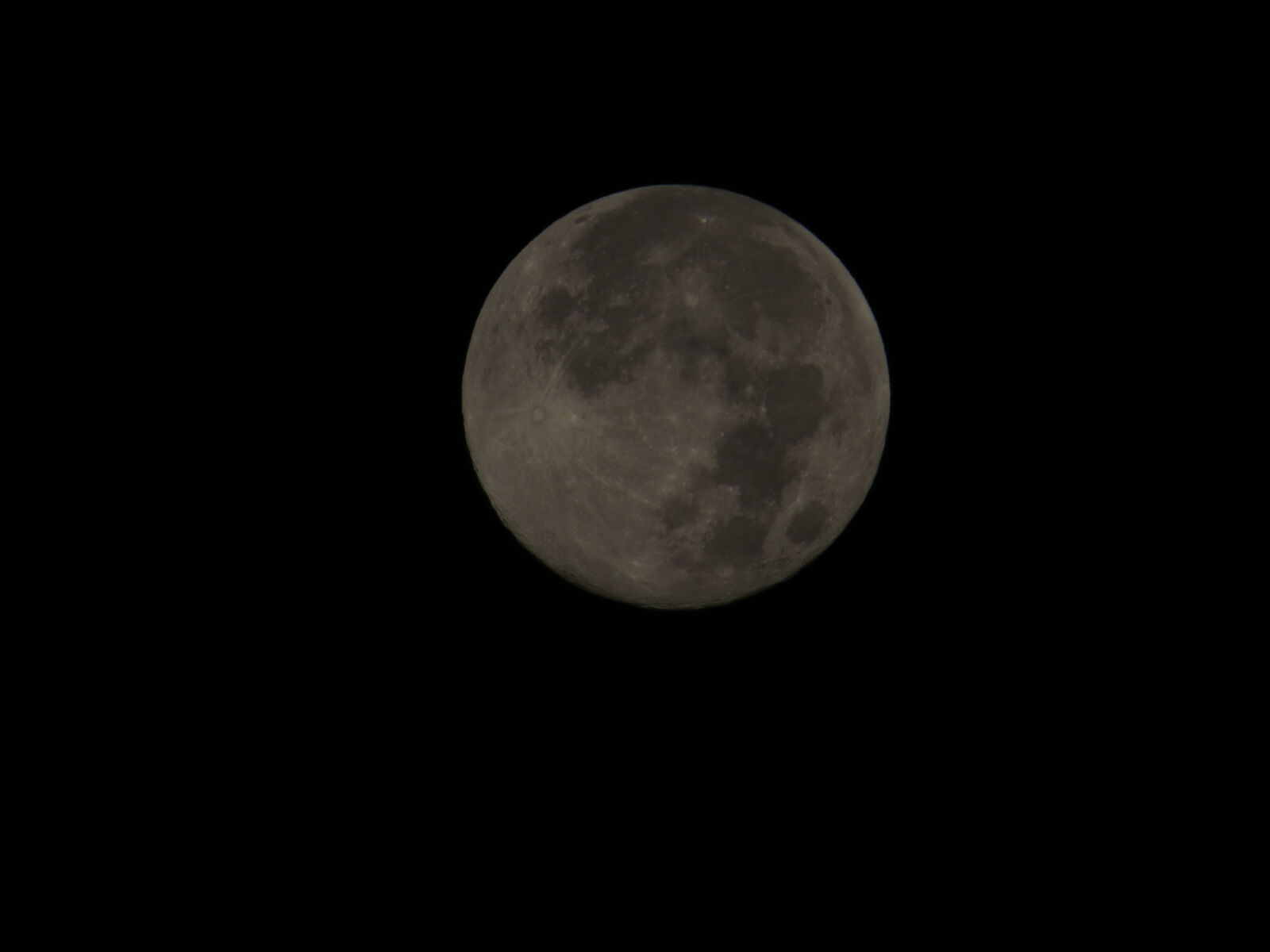 Canon PowerShot SX50 HS sample photo