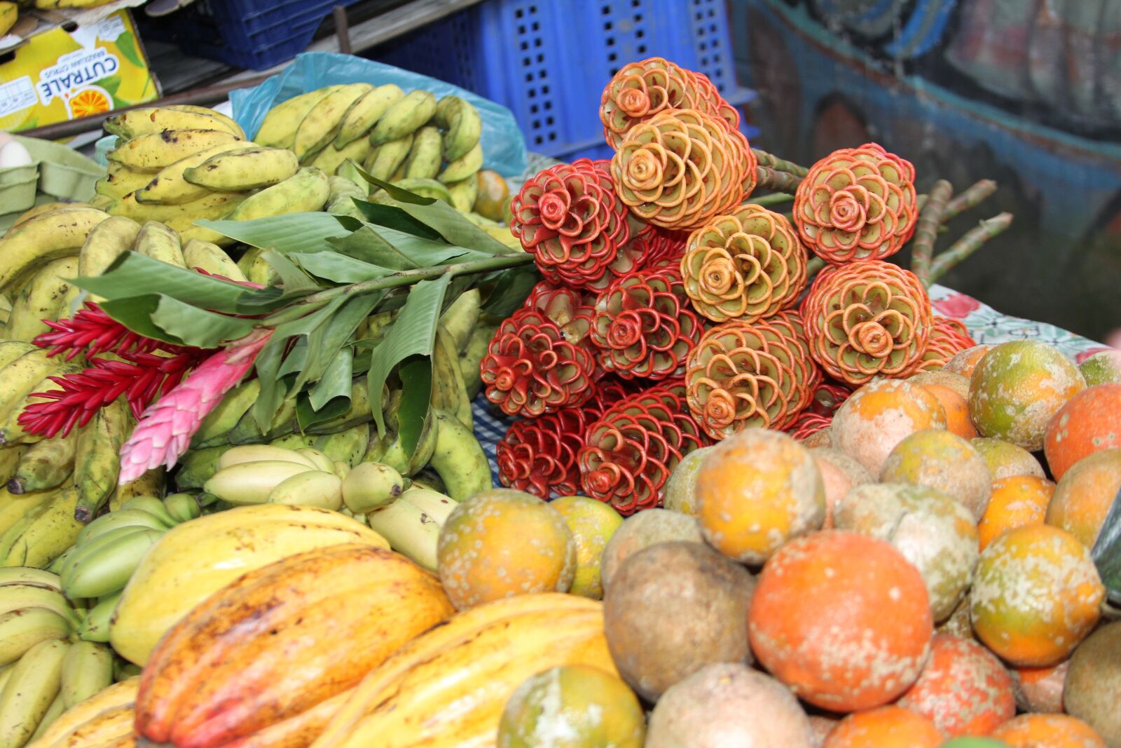 Canon EOS 7D sample photo. Cocoa, fruit, food photography