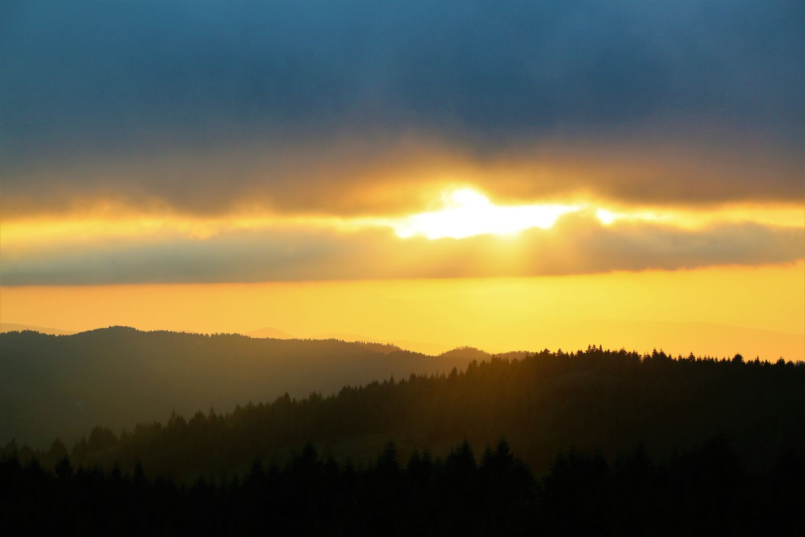Canon EF 24-105mm F4L IS USM sample photo. Sunset, nature, in the photography