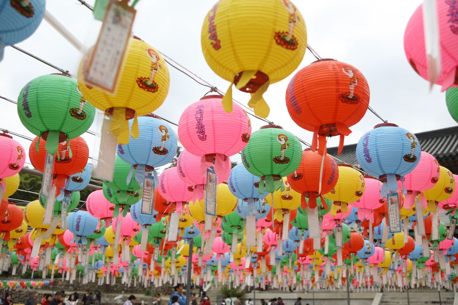 Canon EOS 5D sample photo. Balloon, fun, congratulations photography