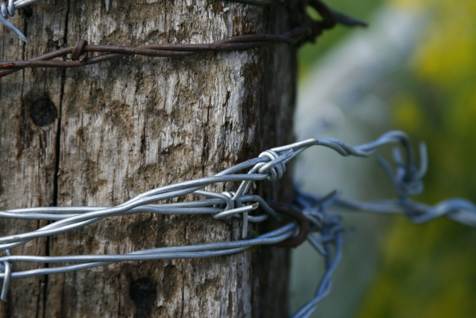 Canon EOS 400D (EOS Digital Rebel XTi / EOS Kiss Digital X) sample photo. Barbed wire, fence, post photography