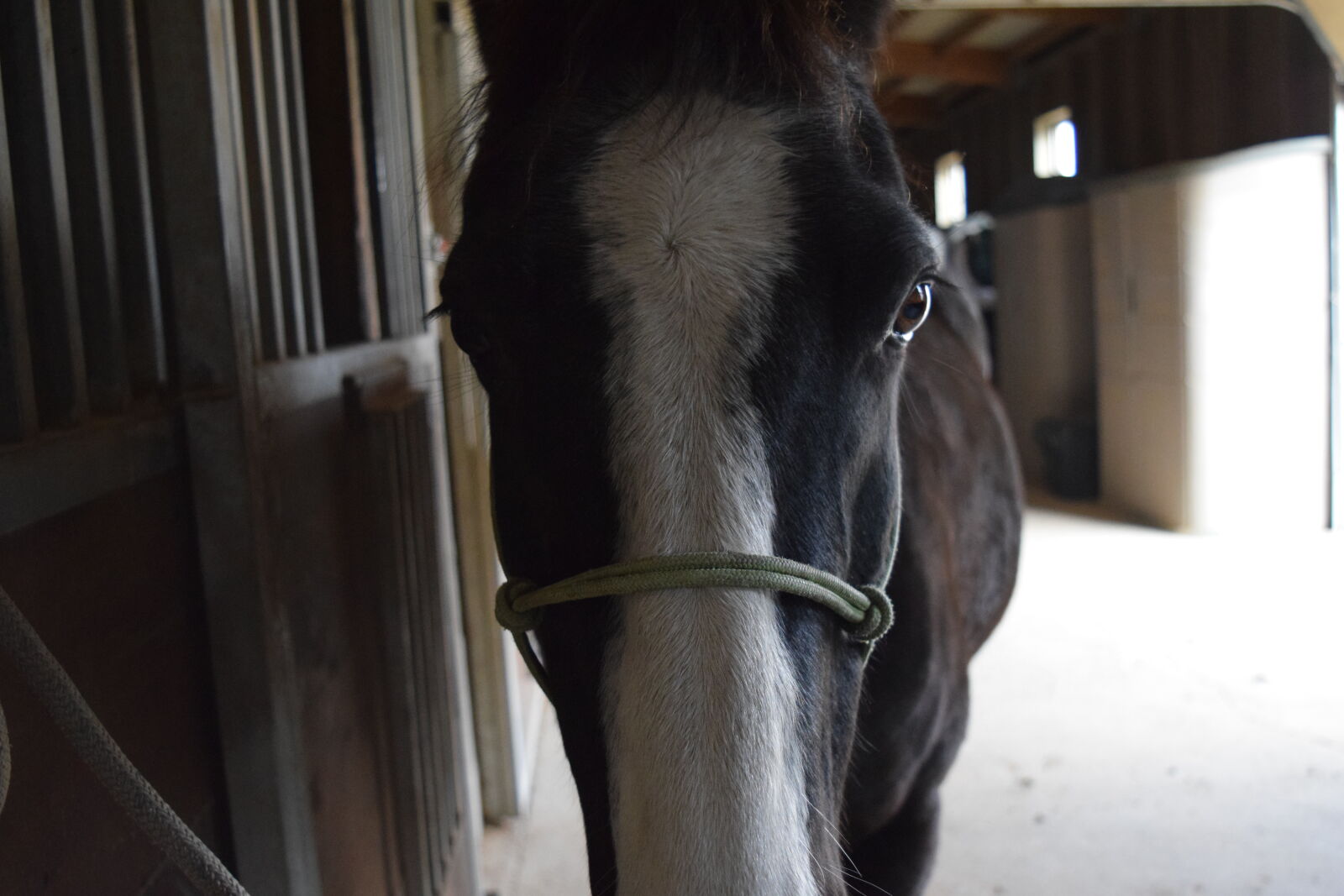 Nikon D3300 sample photo