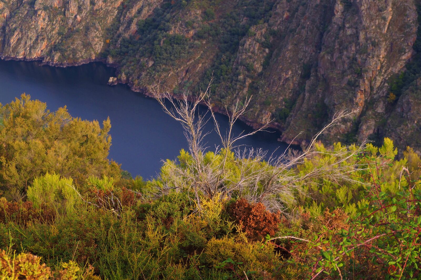 Olympus OM-D E-M10 II sample photo. Acantalidado, viewpoint, autumn photography
