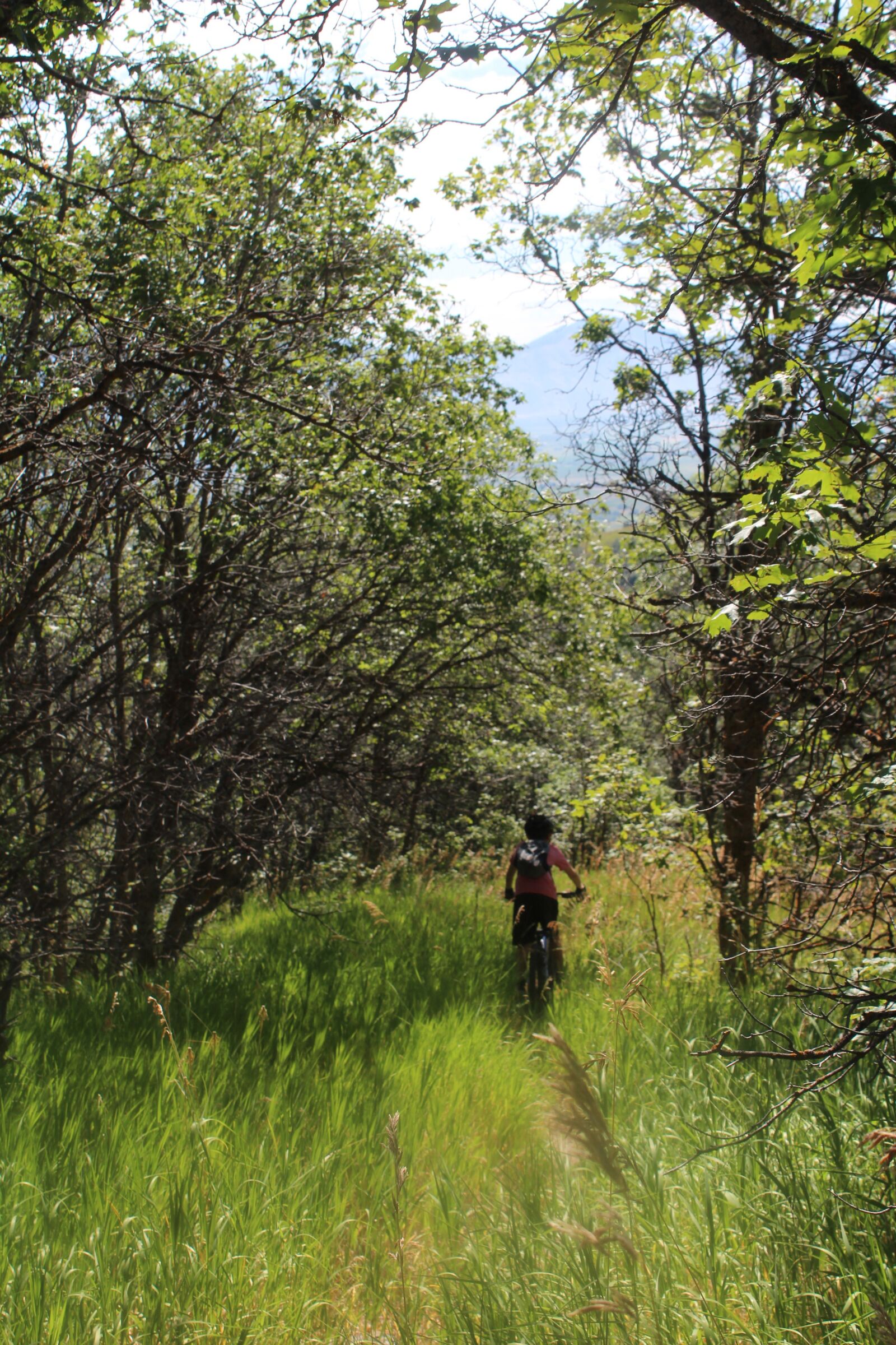 Canon EOS 1300D (EOS Rebel T6 / EOS Kiss X80) sample photo. Cache valley, mountain, mountain photography
