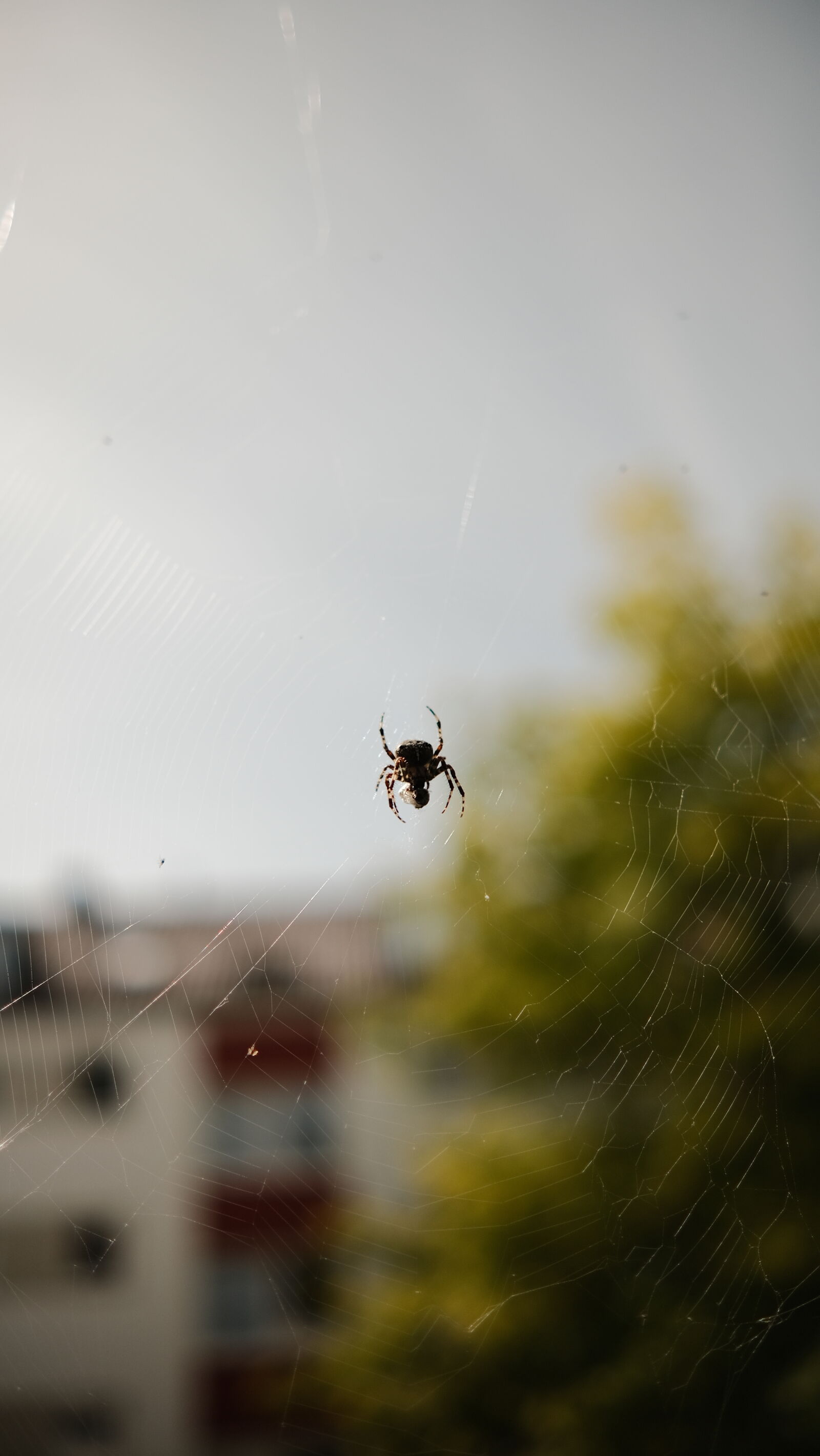 Fujifilm X-T30 II sample photo