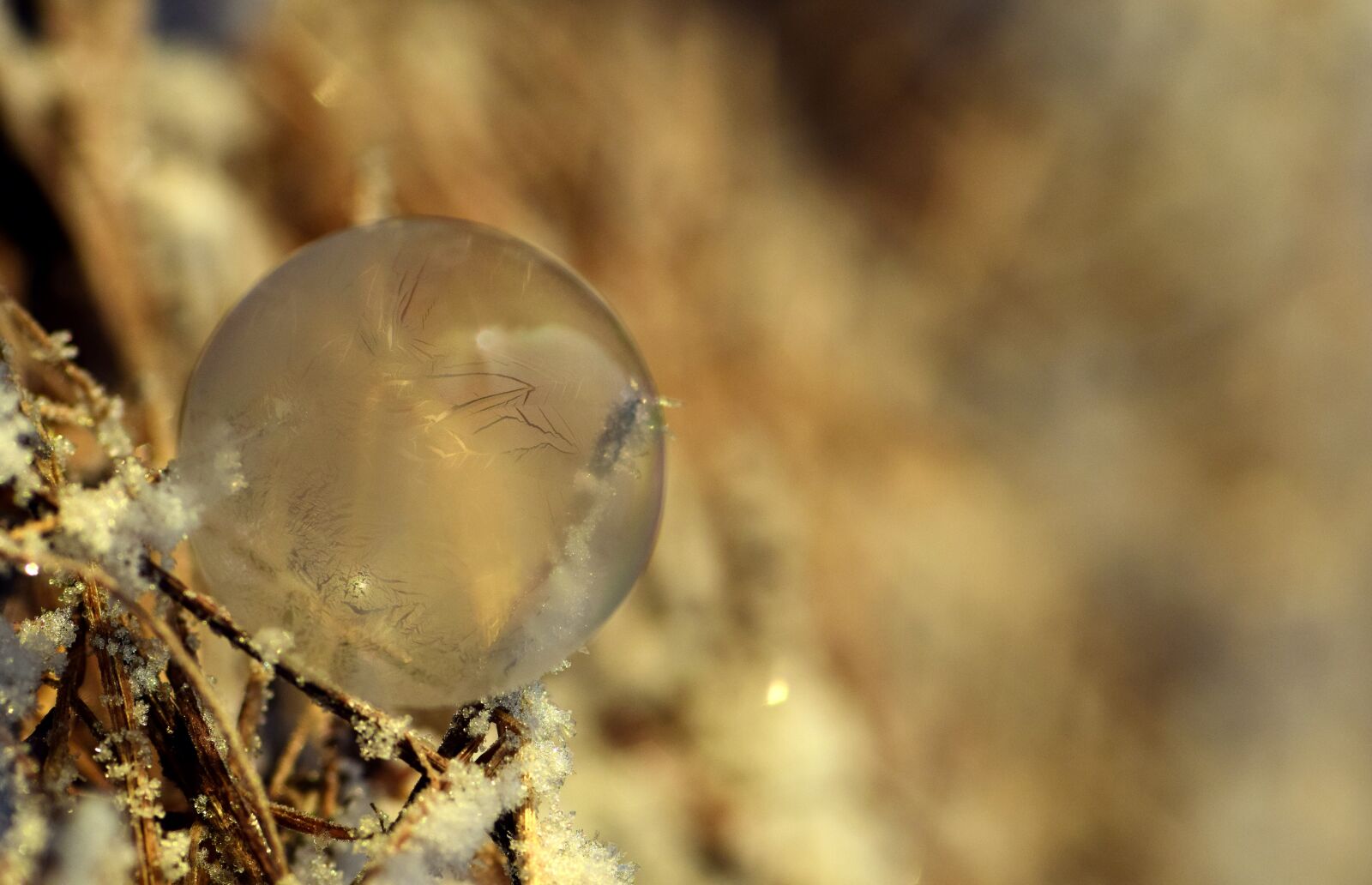 Nikon D3300 sample photo. Bubble, soap bubble, frozen photography