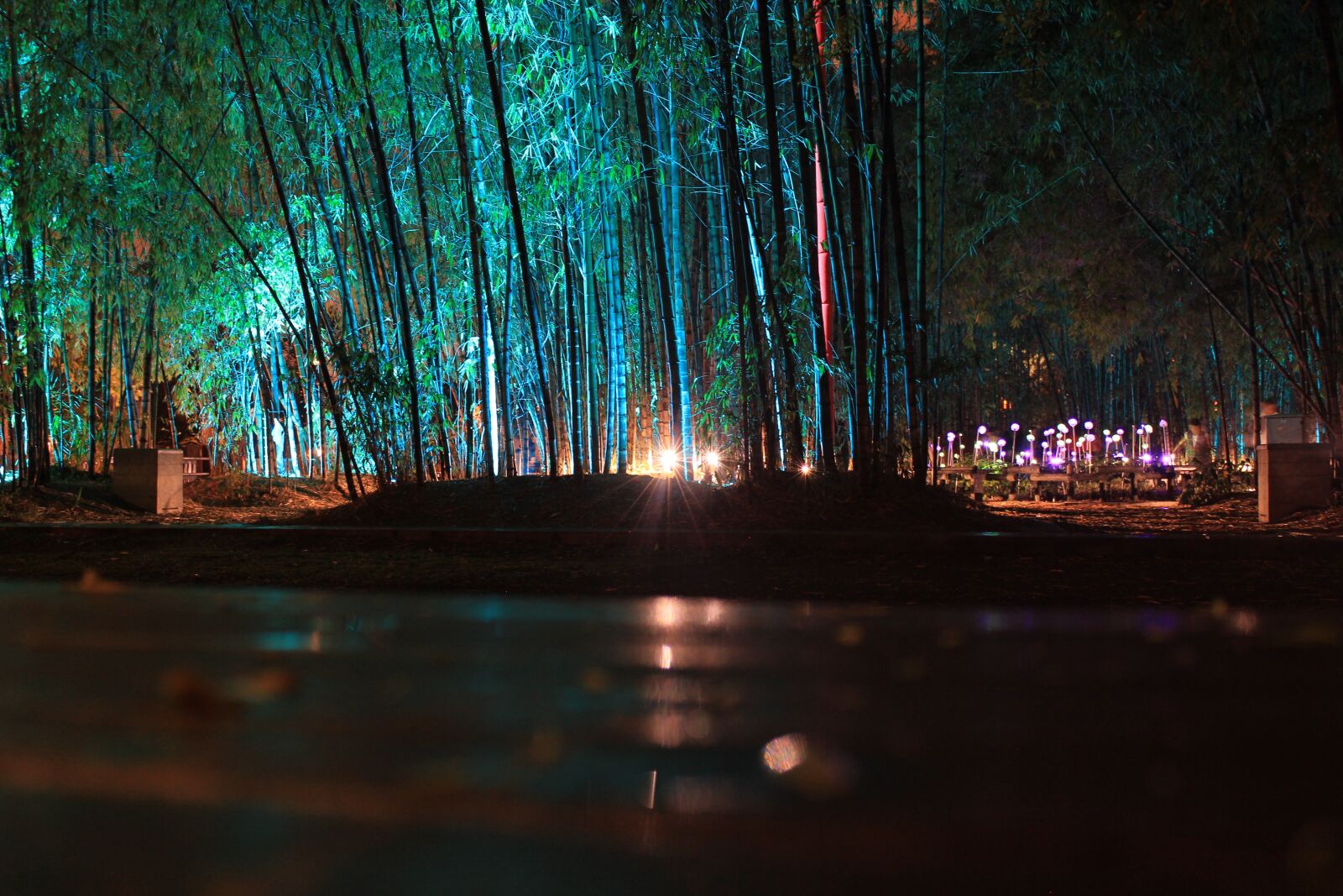 Canon EOS 600D (Rebel EOS T3i / EOS Kiss X5) sample photo. Night, light, lights photography