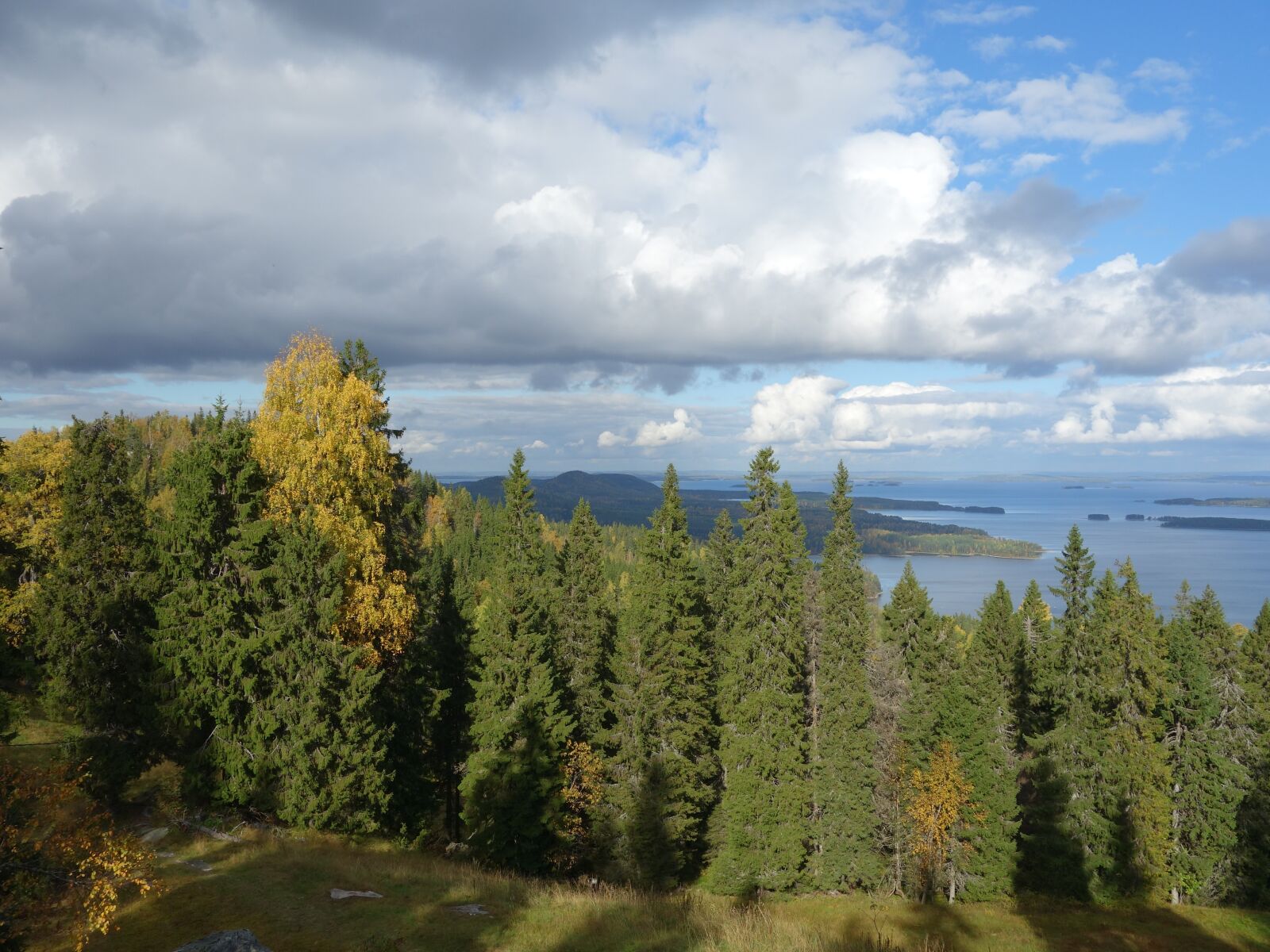 Sony Cyber-shot DSC-RX100 sample photo. Lieksa, finland, summer photography