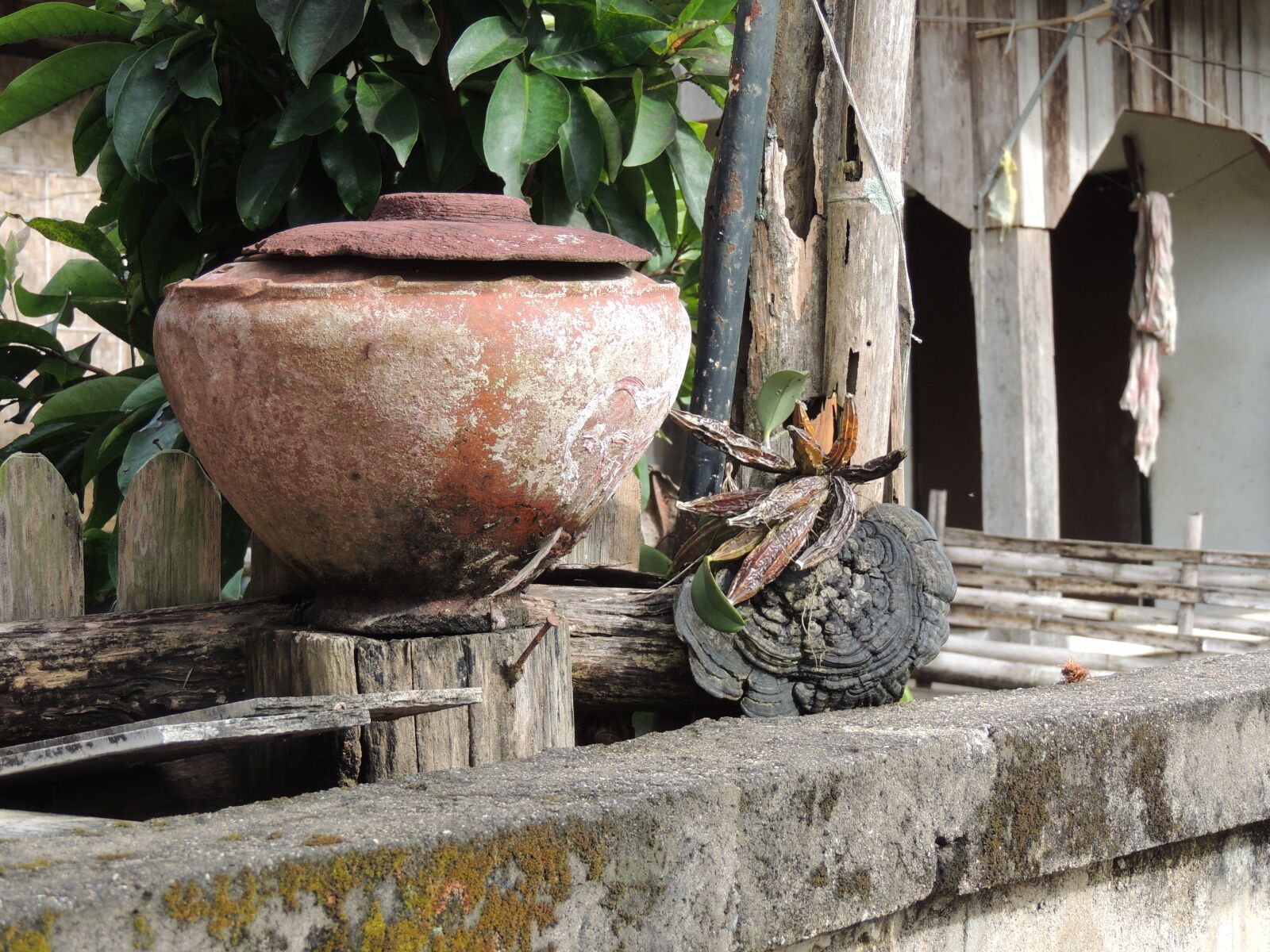 Nikon Coolpix P510 sample photo. Urn photography