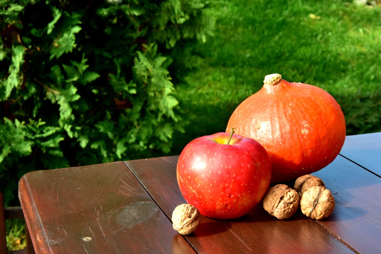 Nikon D7200 sample photo. Autumn, pumpkin, walnut photography