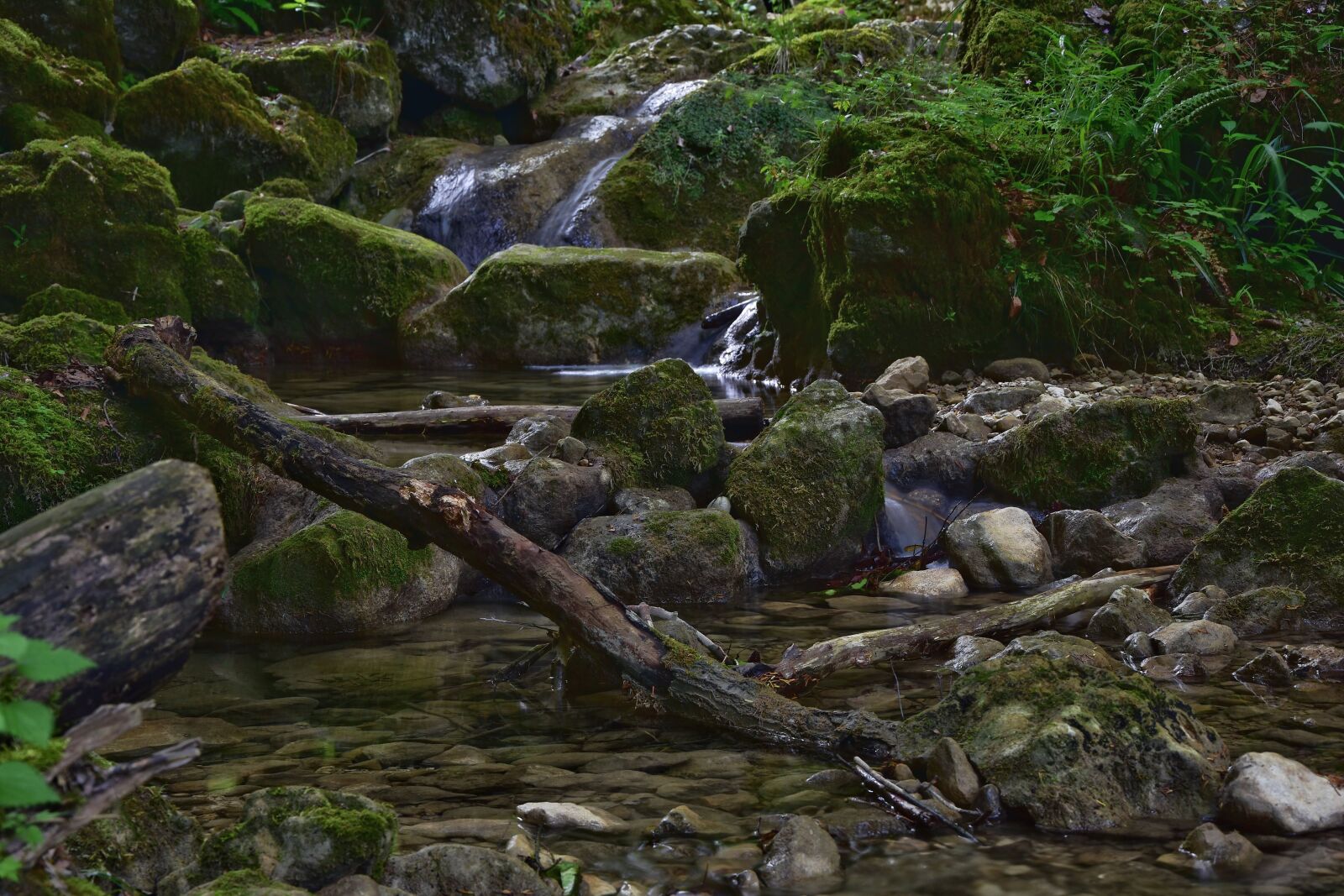 Nikon D7200 sample photo. Forest, bach, landscape photography