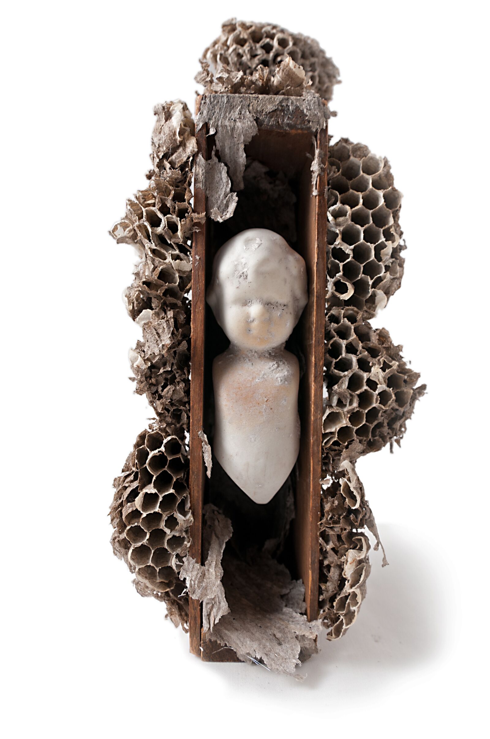Nikon D300S sample photo. Art, wasp nest, sculpture photography