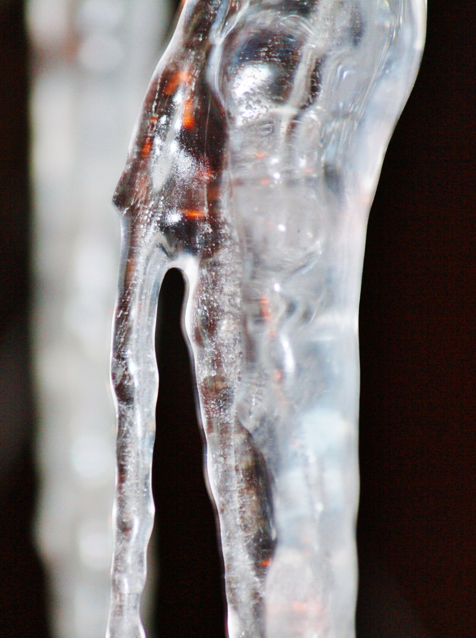 Canon EOS 1000D (EOS Digital Rebel XS / EOS Kiss F) sample photo. Icicle, cold, winter photography