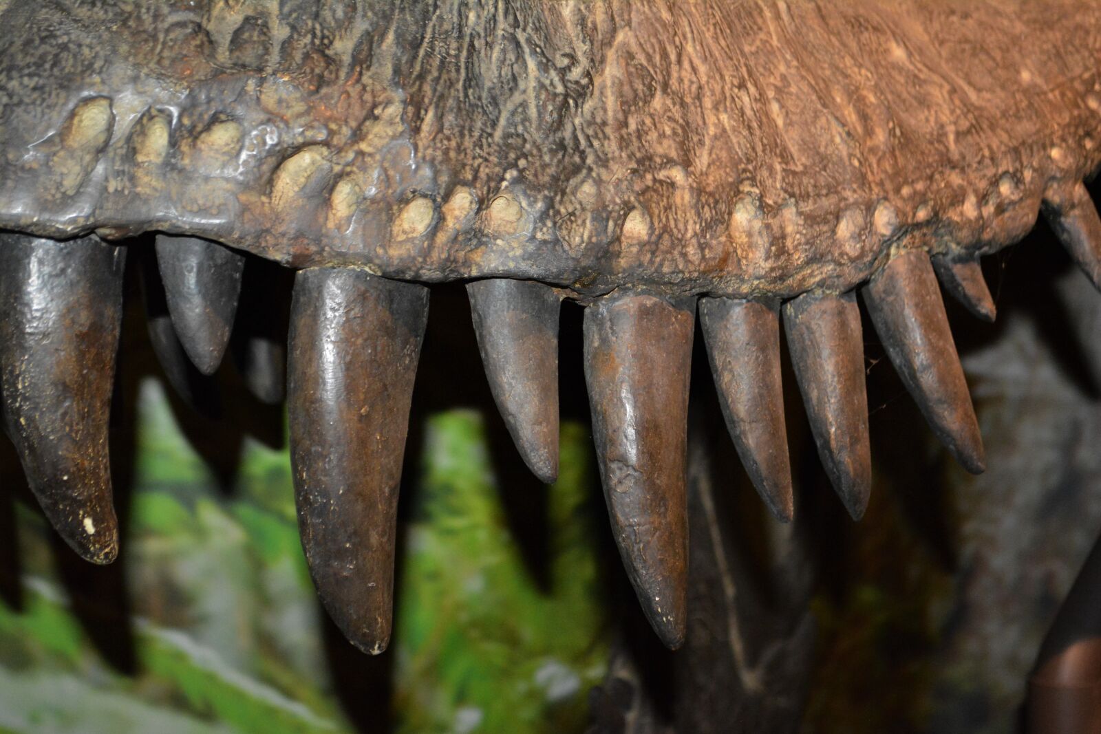 Nikon D5200 sample photo. Dinosaur, dino, carnivorous dinosaurs photography