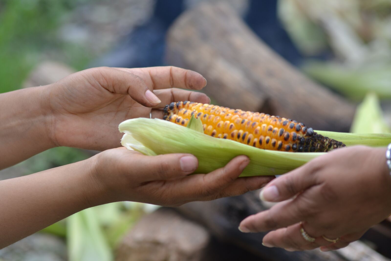 Nikon D3100 sample photo. Healthy, food, corn photography