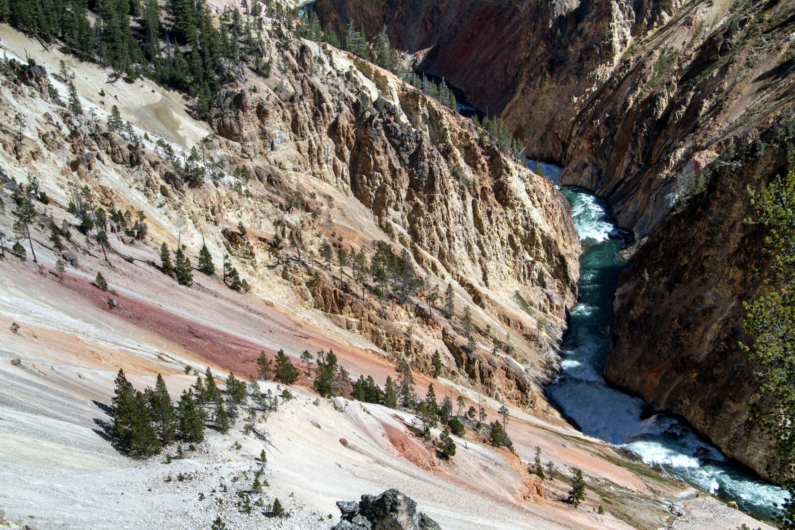 Canon EOS 7D sample photo. Yellowstone national park, wyoming photography