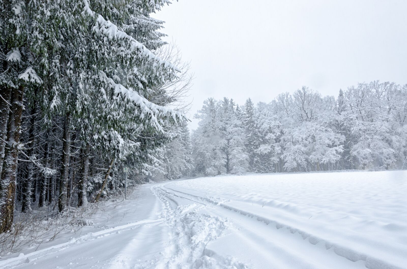 Nikon D5100 sample photo. Snow, winter, frost photography