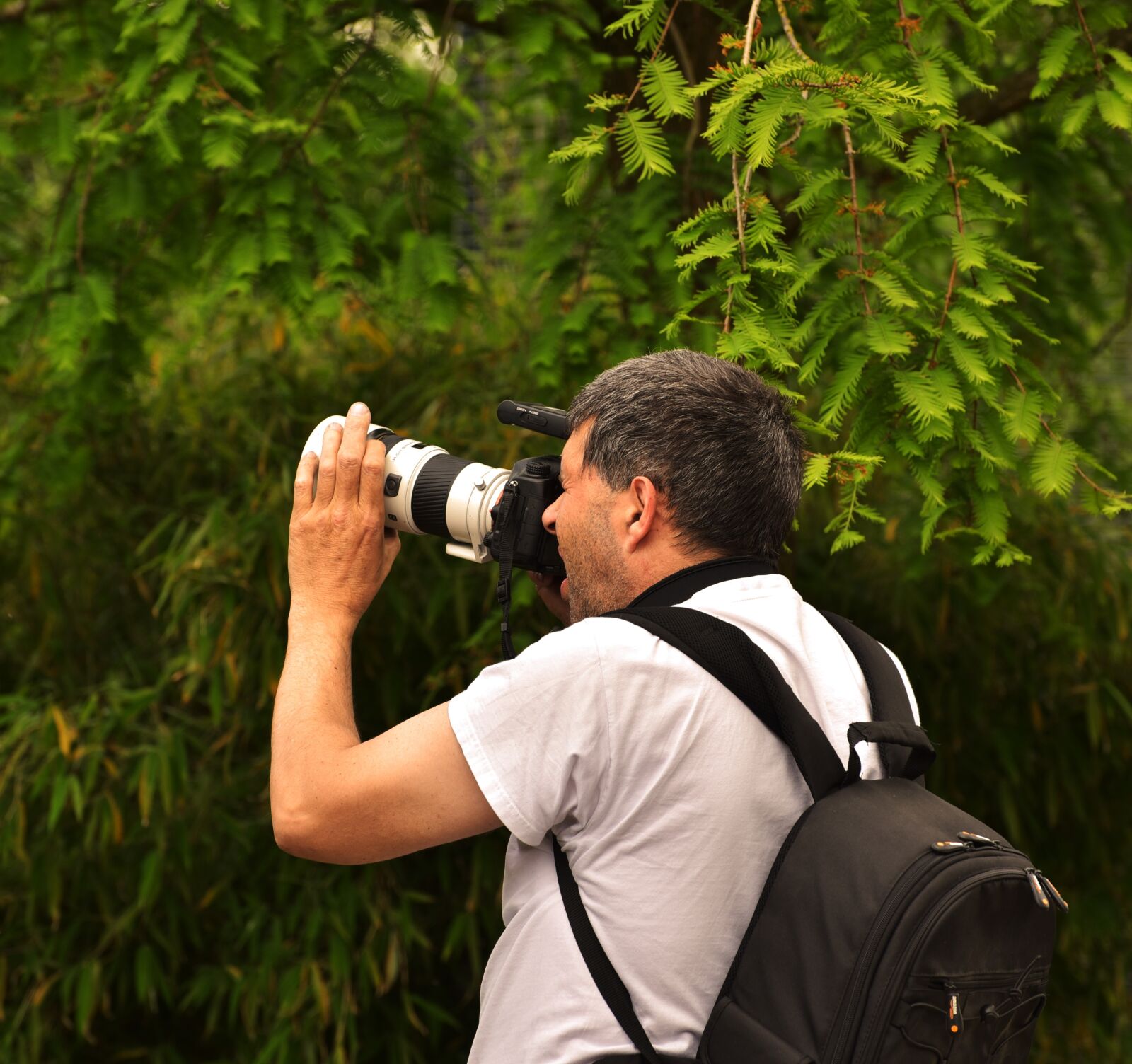 Nikon D750 sample photo. Man, photographer, photograph photography