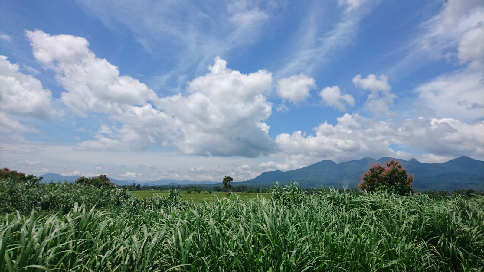 Sony Xperia Z5 sample photo. Country side, tacloban, philippines photography