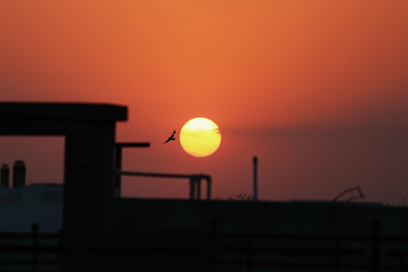 Canon EOS 700D (EOS Rebel T5i / EOS Kiss X7i) sample photo. Nature, sunset, evening photography