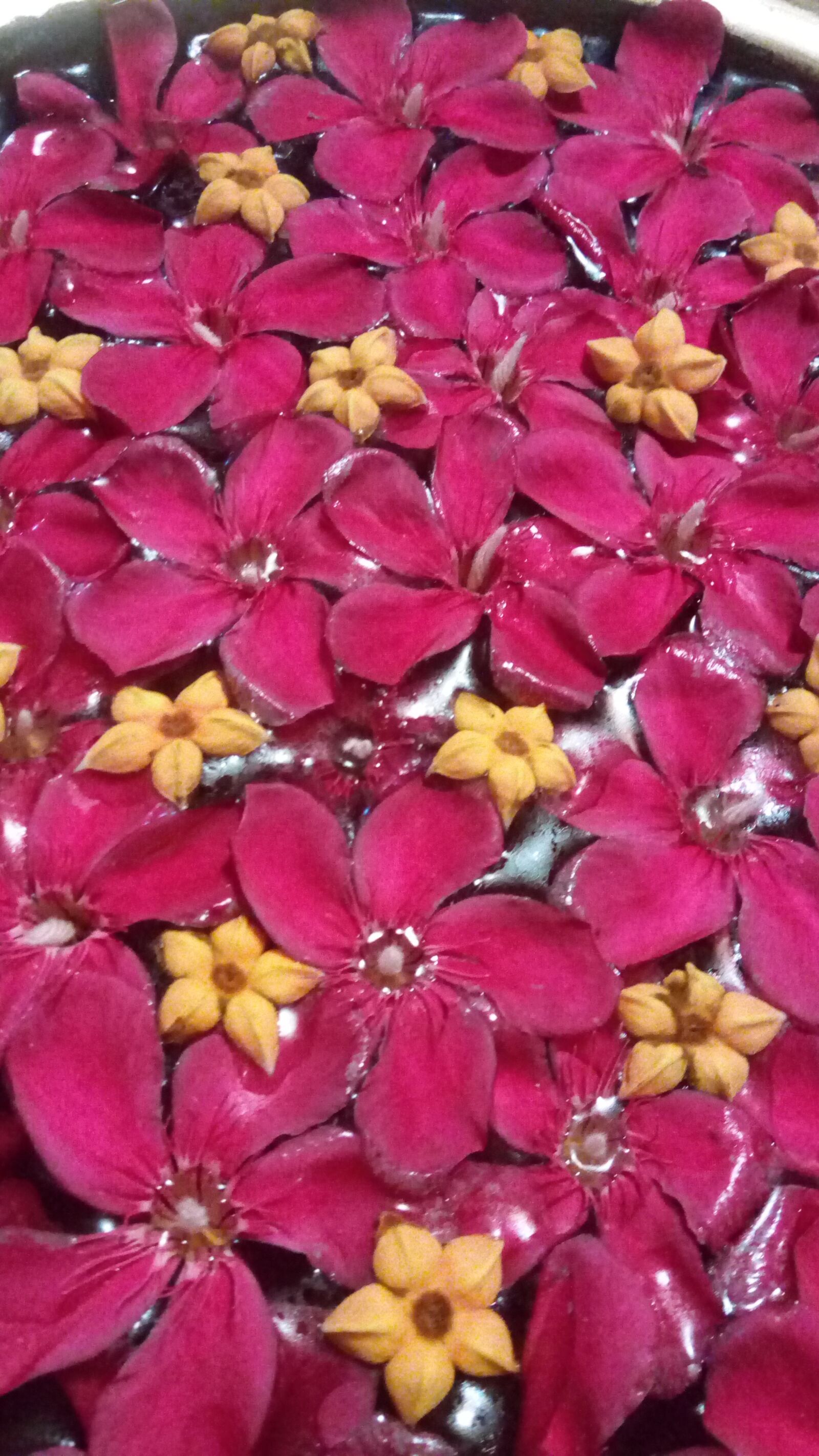 Lenovo VIBE X3 LITE sample photo. Flowers, pond, water photography