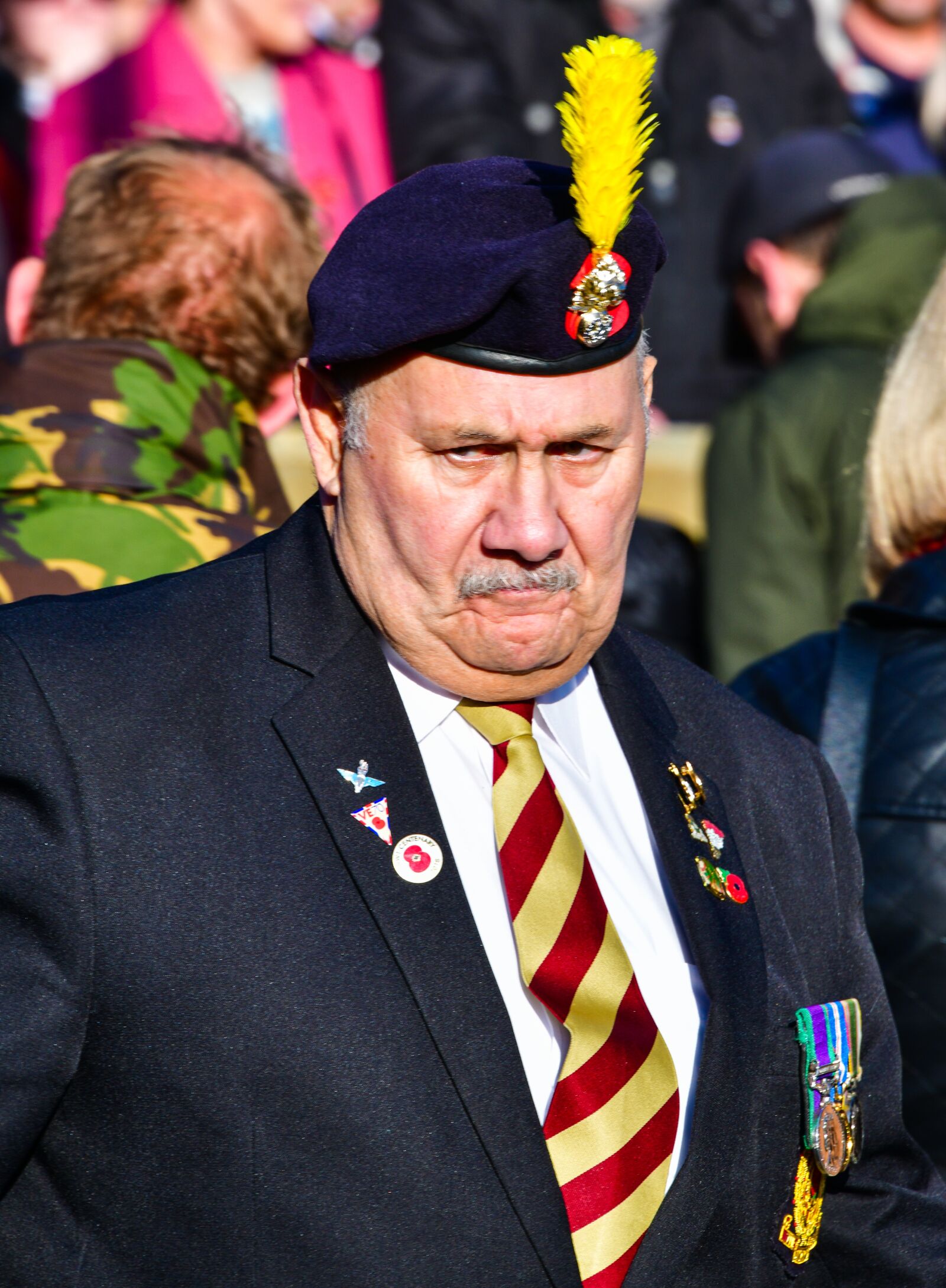 Nikon D850 sample photo. Remembrance day, veteran's day photography