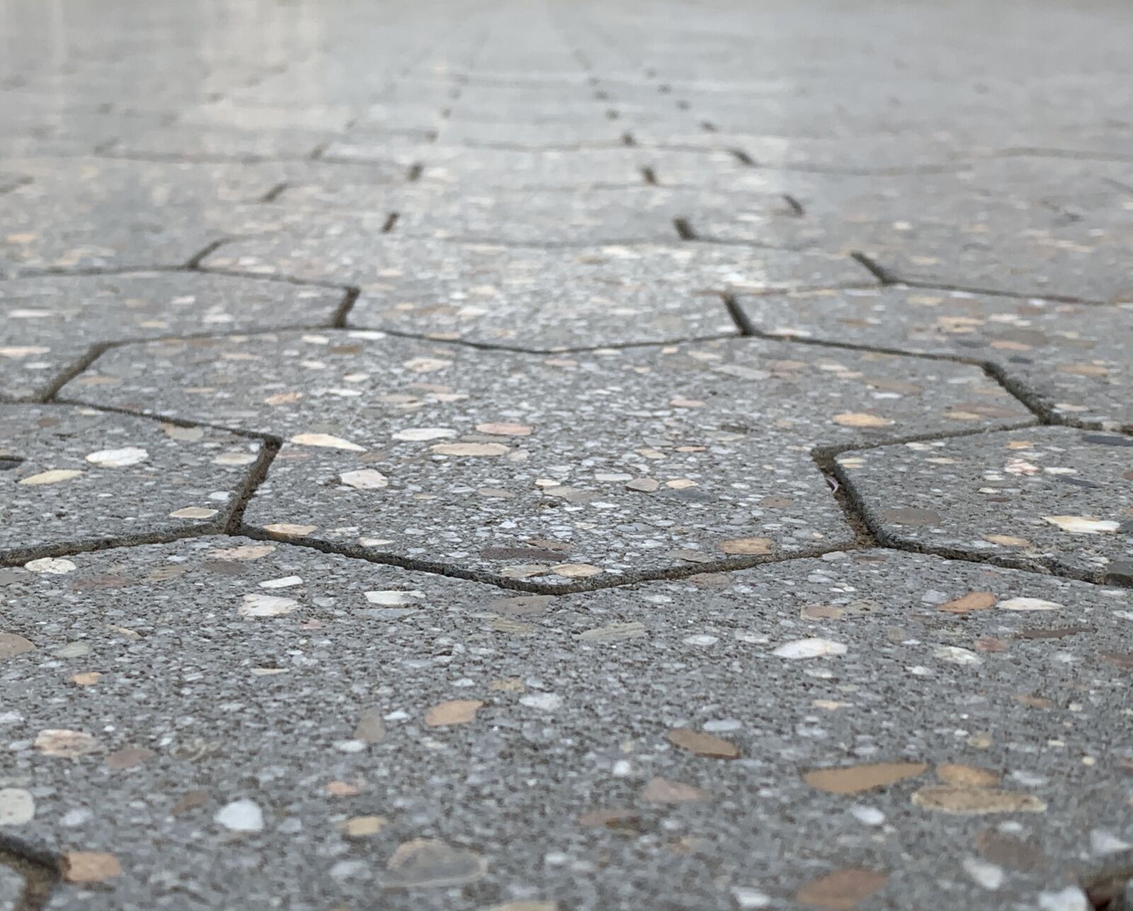 iPhone XS back dual camera 4.25mm f/1.8 sample photo. Pavement, interconnected, arrows photography