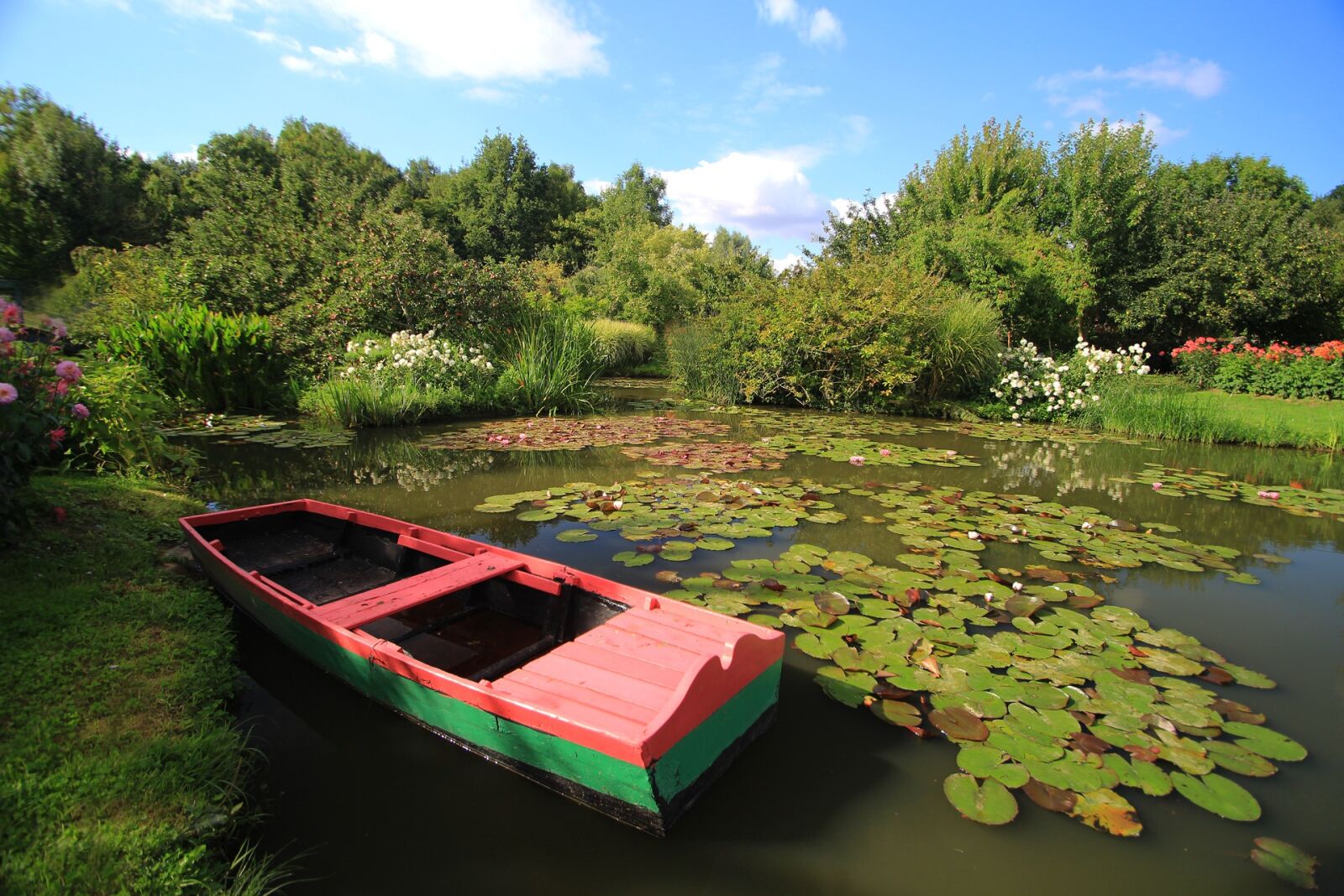 Canon EOS 700D (EOS Rebel T5i / EOS Kiss X7i) sample photo. Pond, water lilies, flower photography