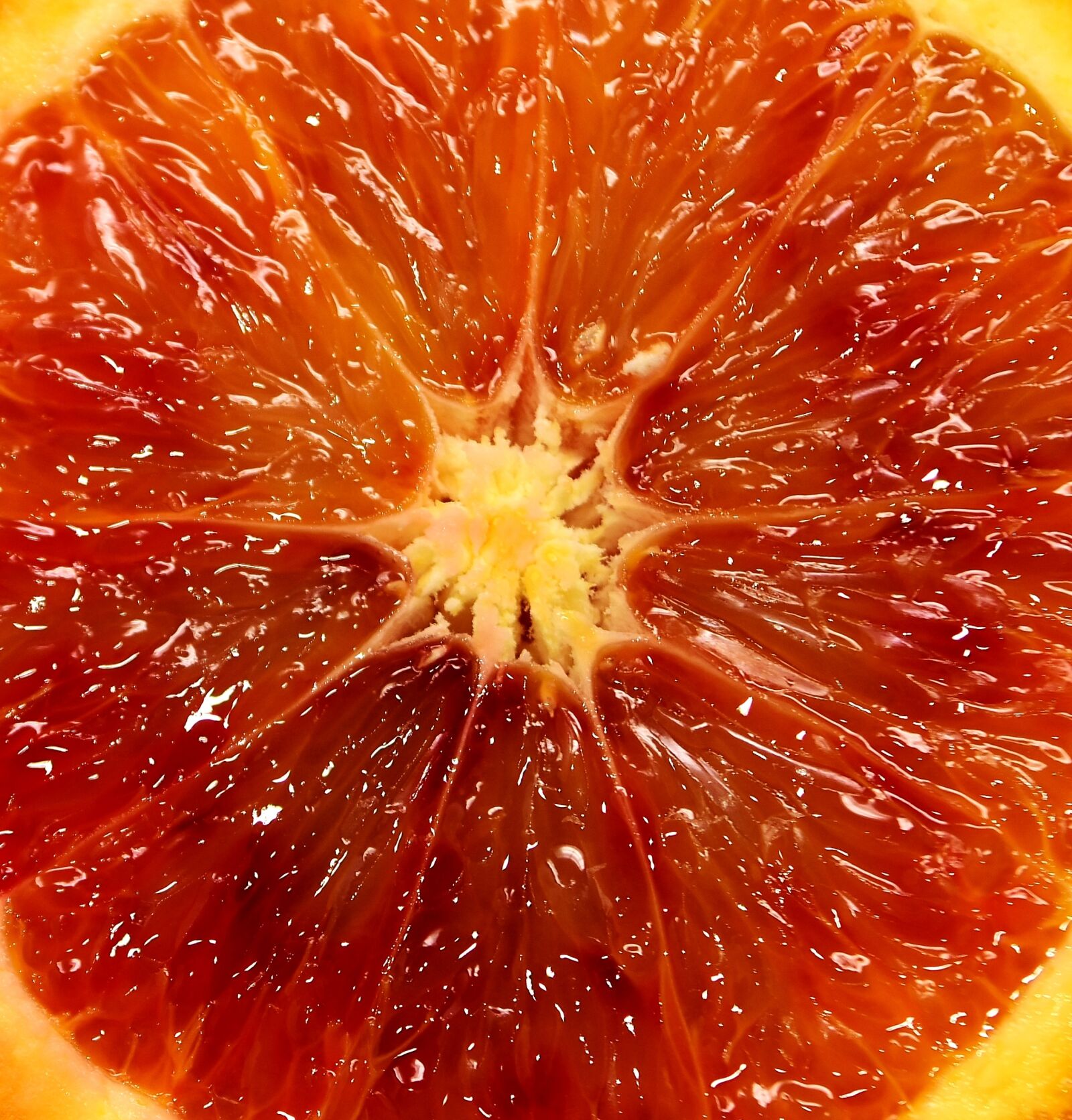 Nikon D7200 sample photo. Blood orange, fruit, citrus photography