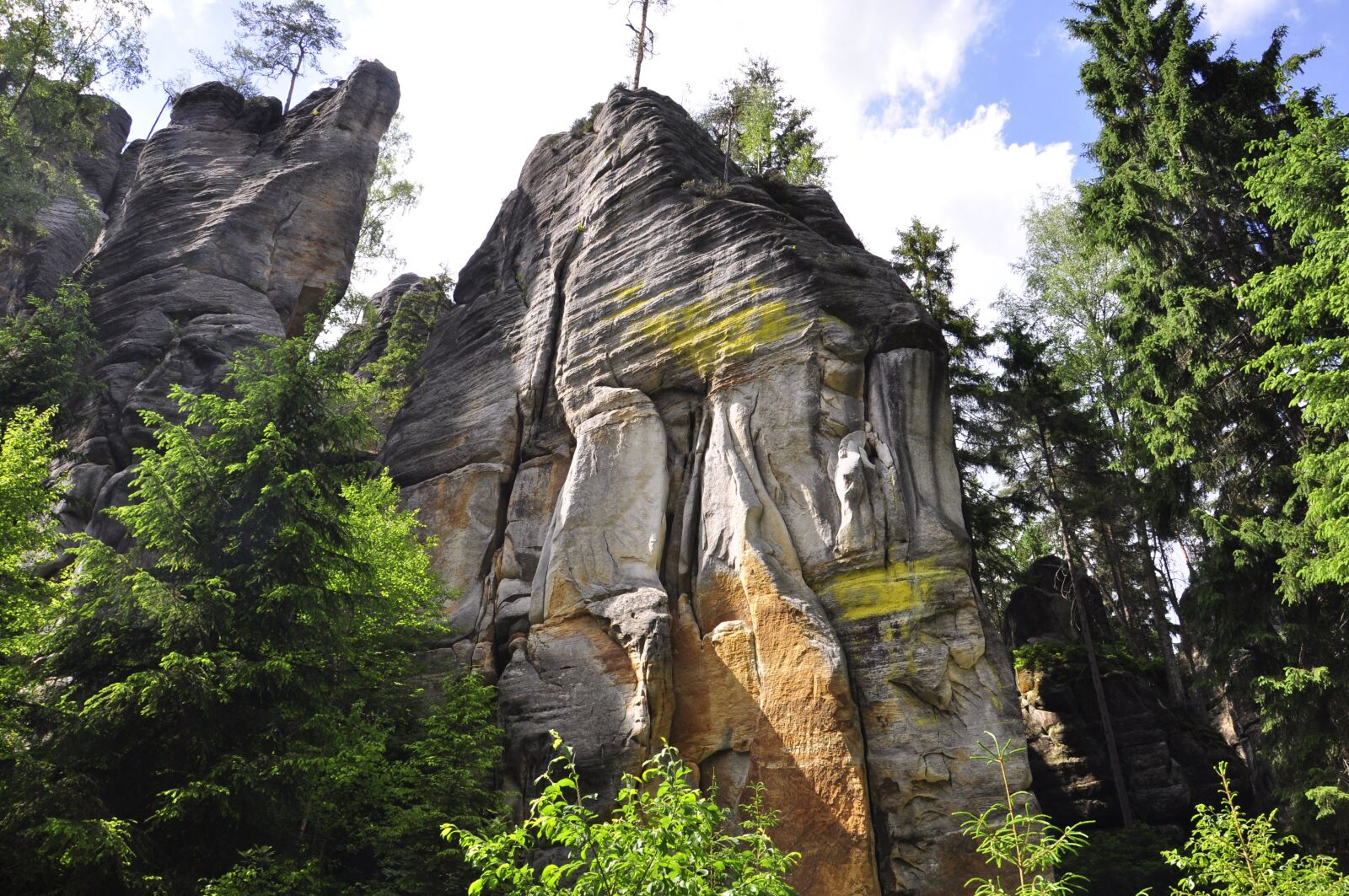 Nikon D5000 sample photo. Ardspach, mountains, czech republic photography