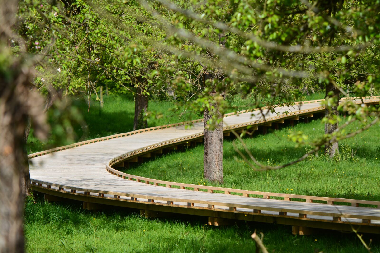 Nikon D7100 sample photo. Nature, landscape, walking path photography