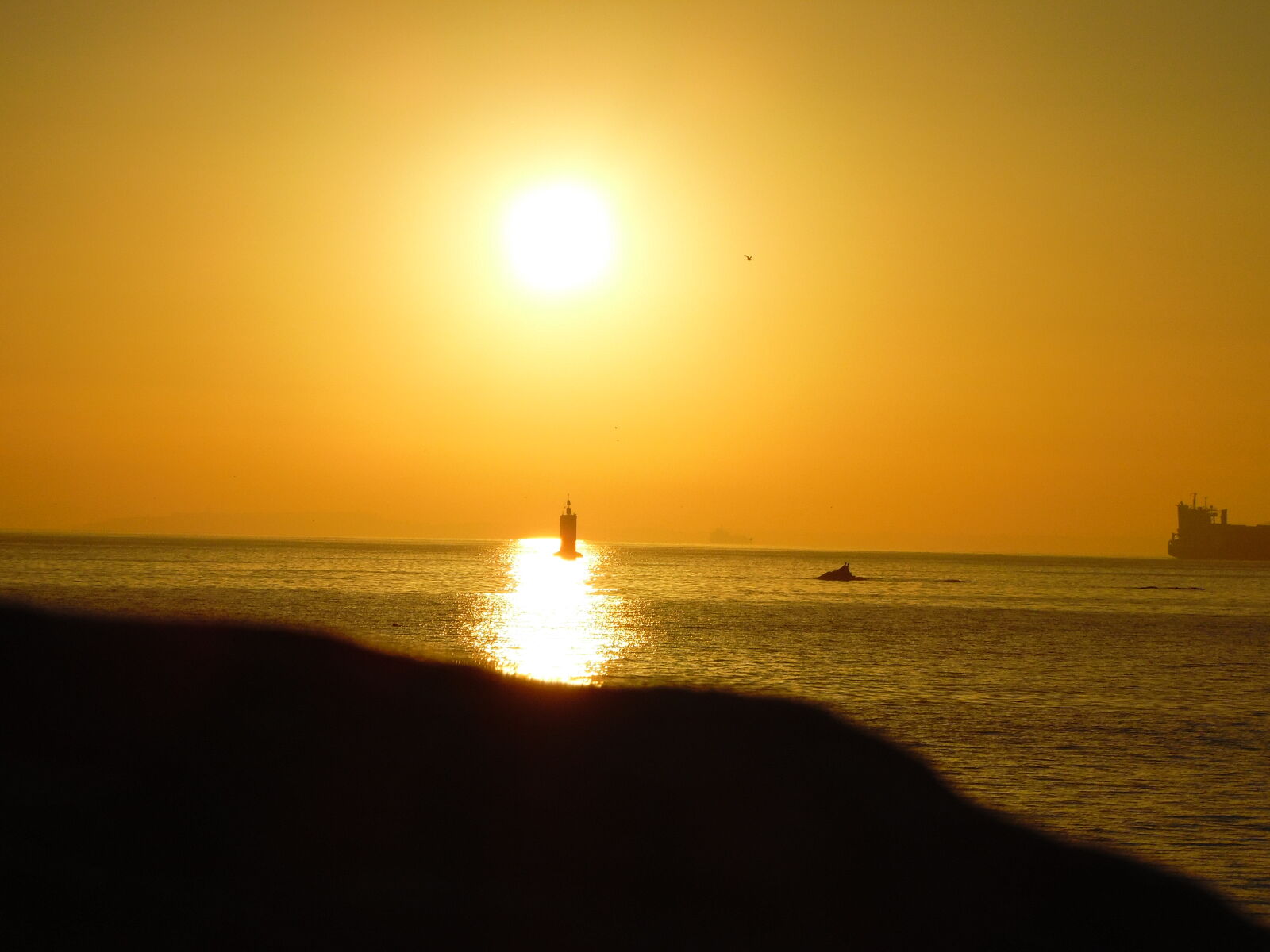 Samsung WB1100F/WB1101F/WB1102F sample photo