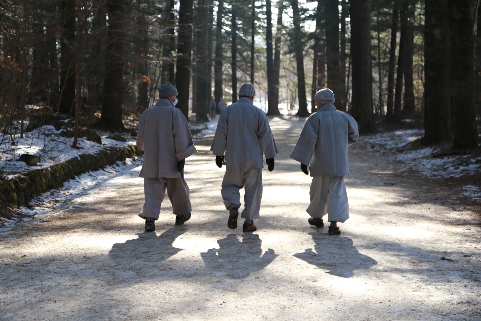 Canon EOS 6D + Canon EF 24-105mm F4L IS USM sample photo. Monk, monks, walk photography