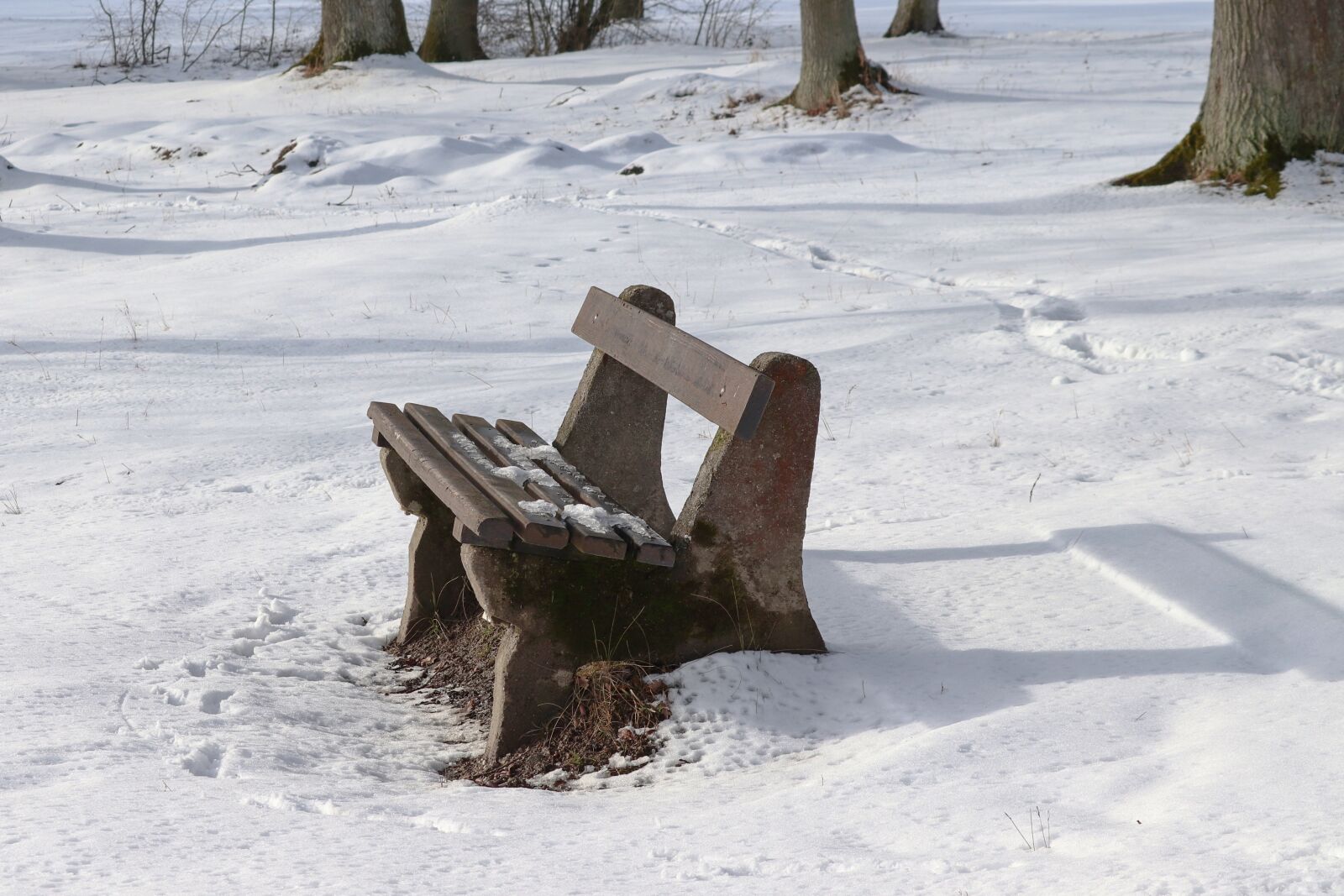 Canon EOS 200D (EOS Rebel SL2 / EOS Kiss X9) sample photo. Tranquility base, snow, wooden photography