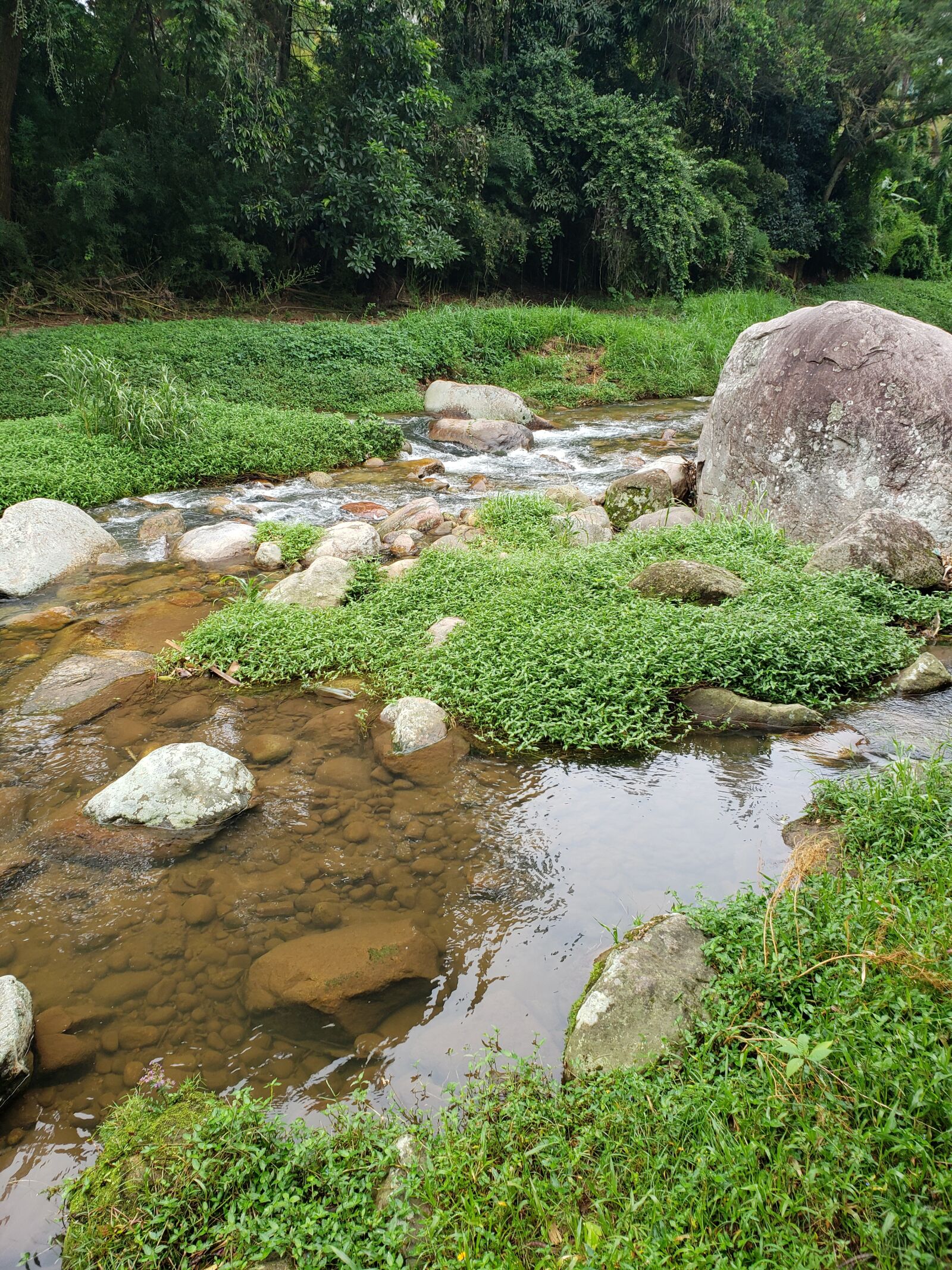 Samsung Galaxy S9+ sample photo. River, nature, water photography